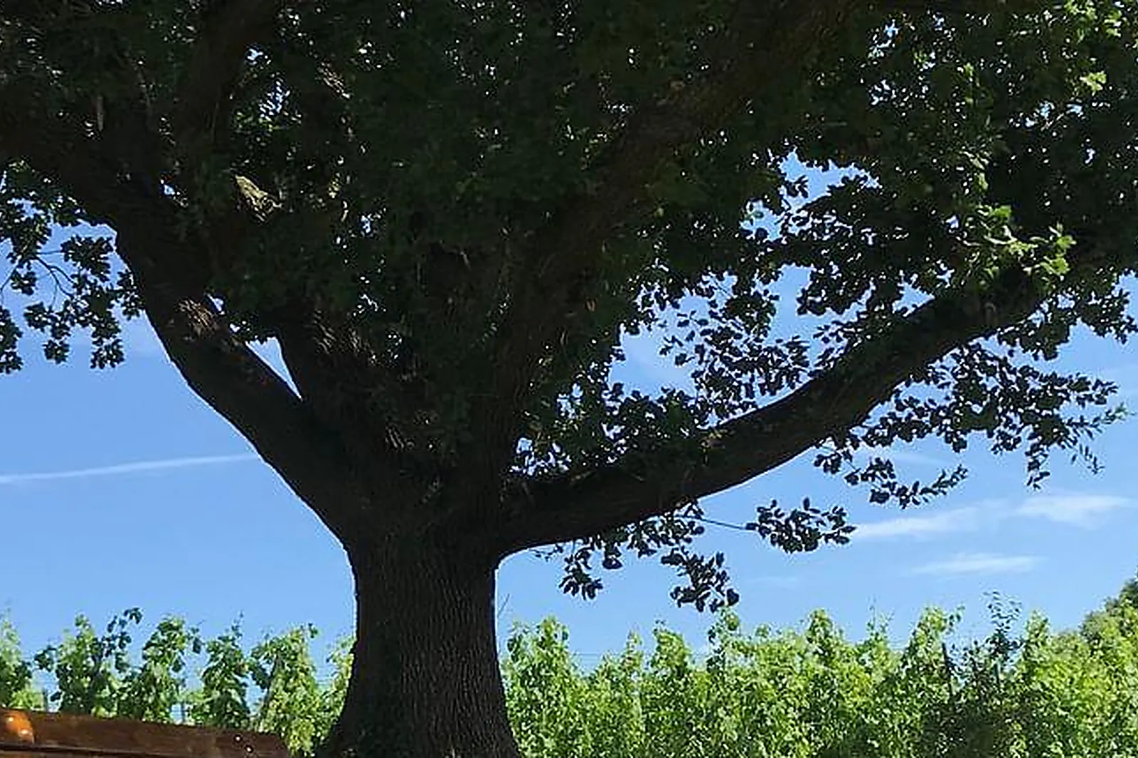 Lieux événementiels, LE DOMAINE DE GORNETON