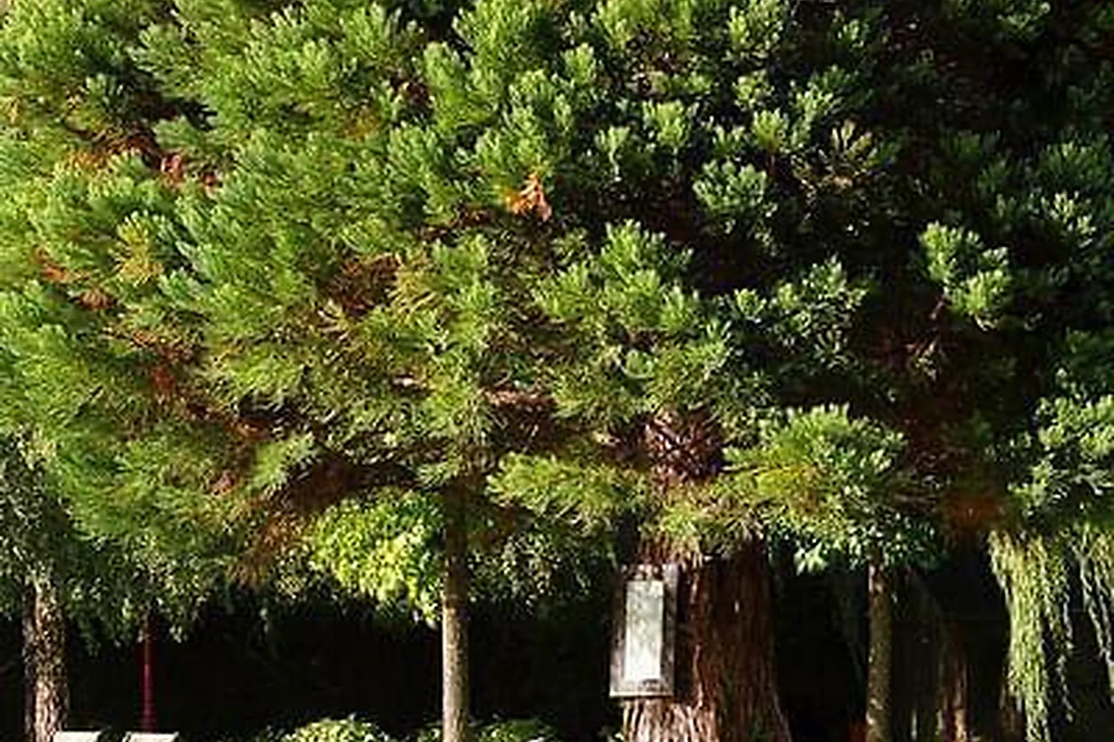 Lieux événementiels, LE DOMAINE DE GÉLINE