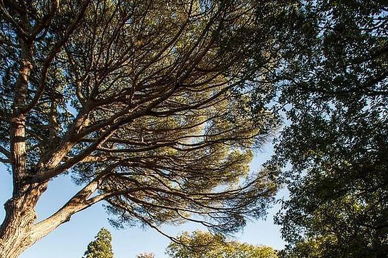 Lieux événementiels, LE DOMAINE DE MONTJOIE