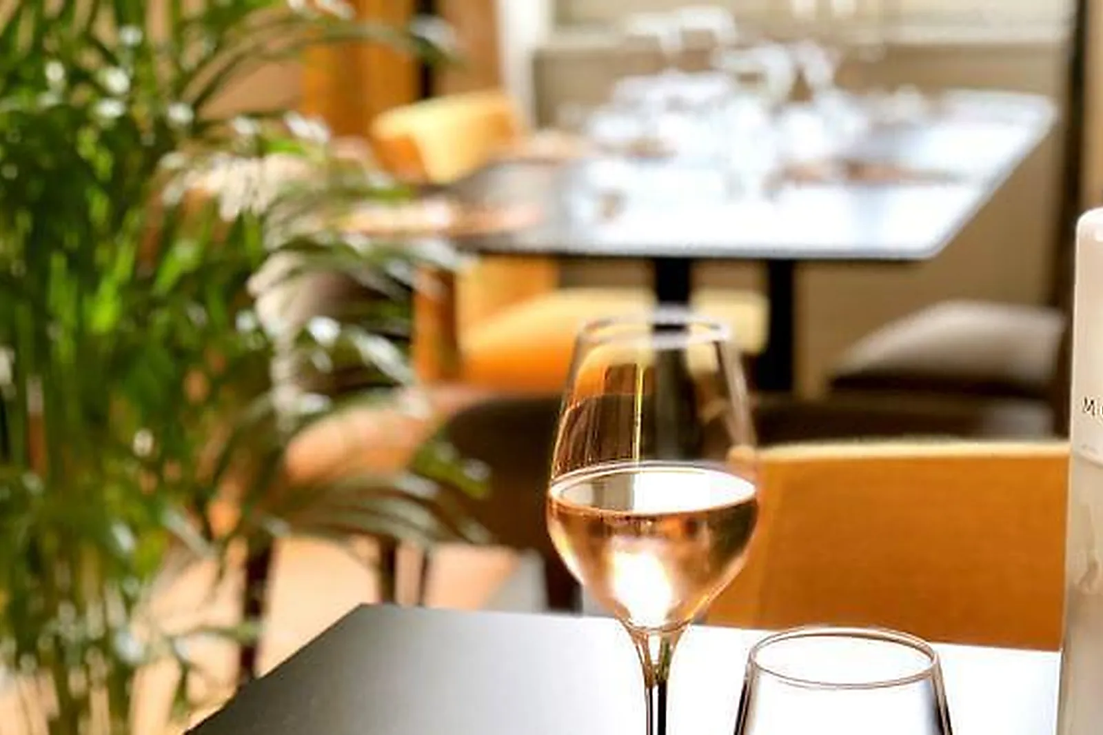 Lieux événementiels, LE DOMAINE DE MONTJOIE