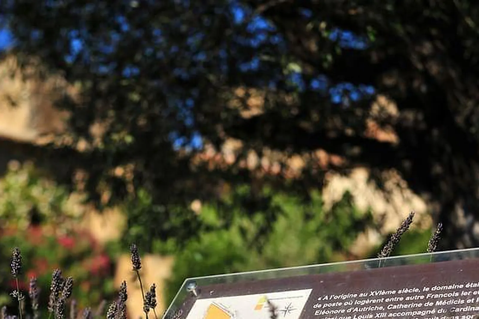 Lieux événementiels, LE DOMAINE DES ESCAUNES