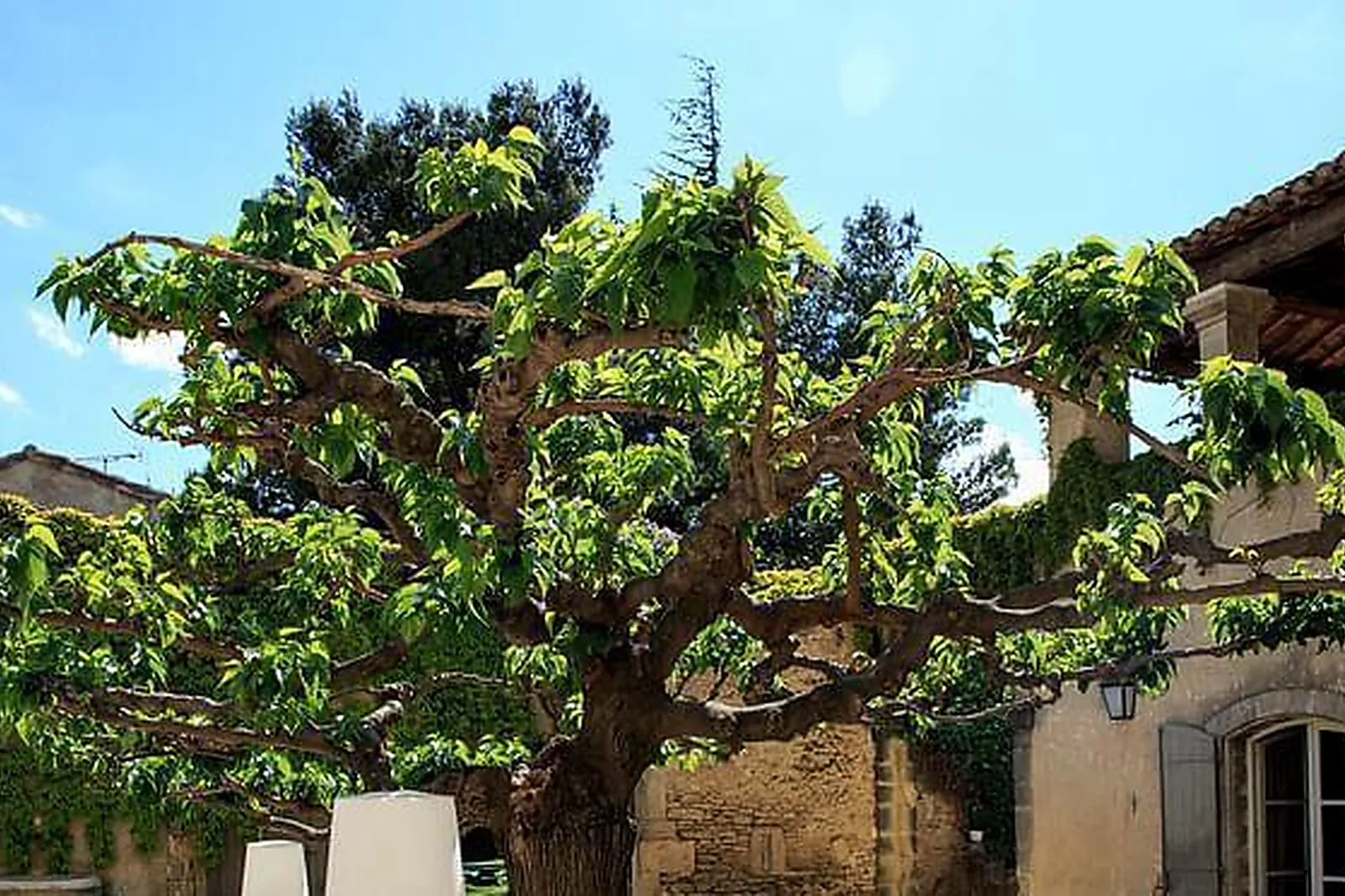 Lieux événementiels, LE DOMAINE DES ESCAUNES