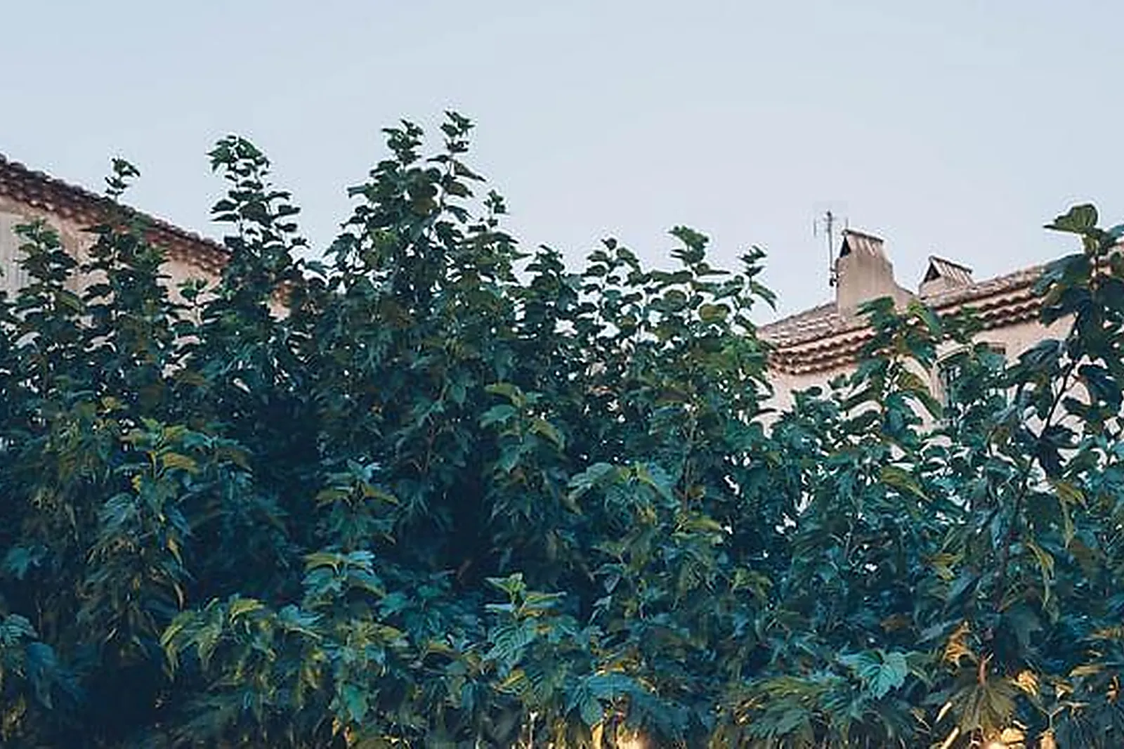 Lieux événementiels, LE DOMAINE DES ESCAUNES