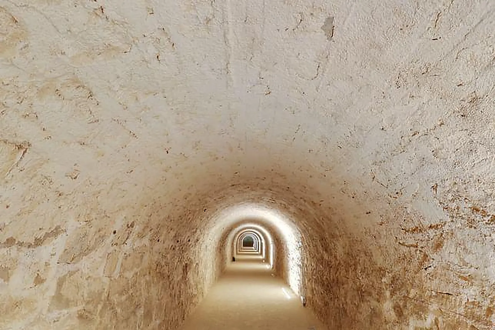 Lieux événementiels, L'ALTERNATEUR