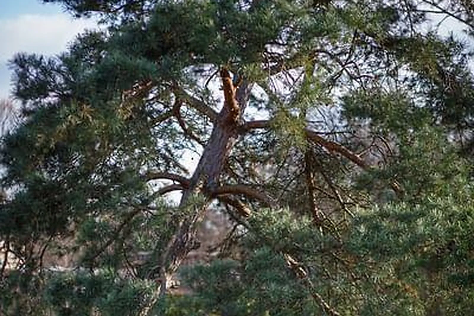 Lieux événementiels, LE GÎTE FACILIS D'ALSACE
