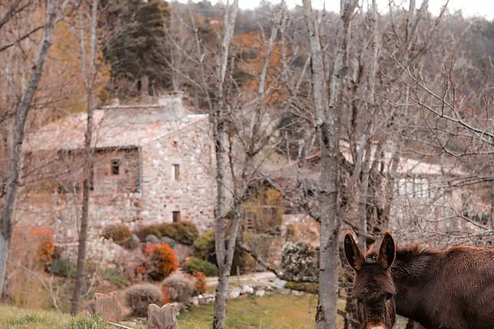 Lieux événementiels, LE HAMEAU DE LA MÛRE