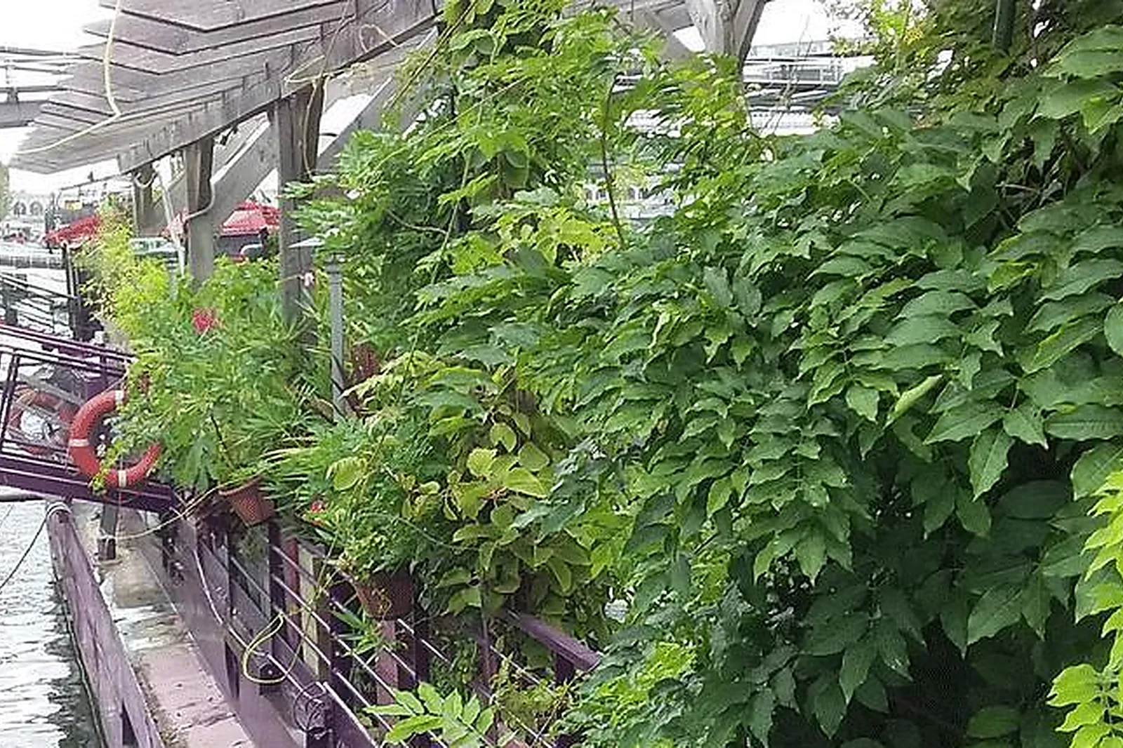 Lieux événementiels, LE JARDIN FLOTTANT