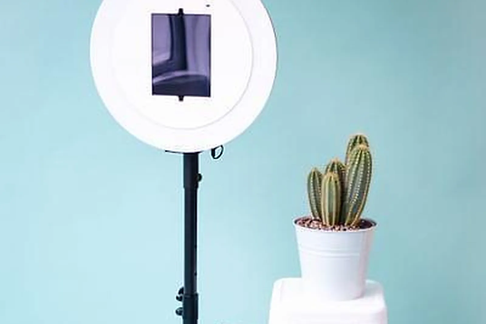 Lieux événementiels, LE LABO