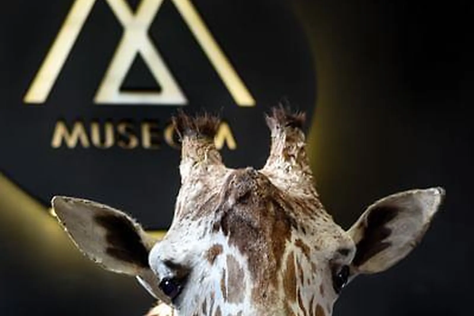 Lieux événementiels, LE LOFT ATYPIQUE