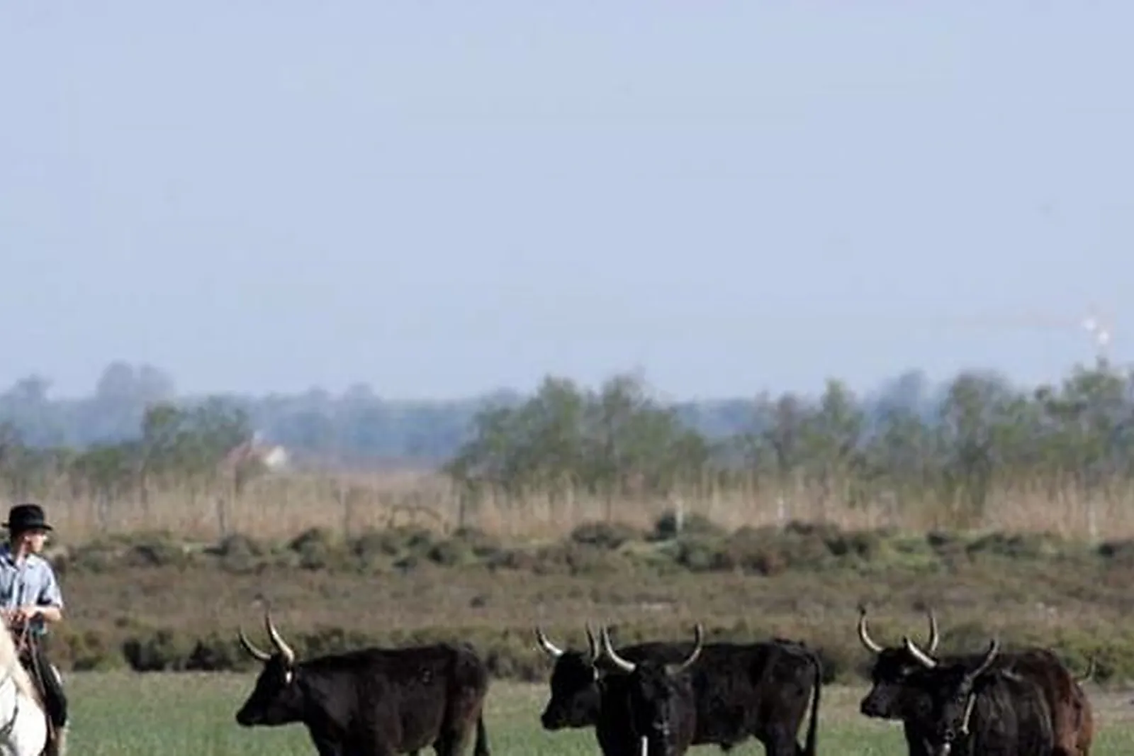Lieux événementiels, LE MAS DE PEINT - MANADE JACQUES BON