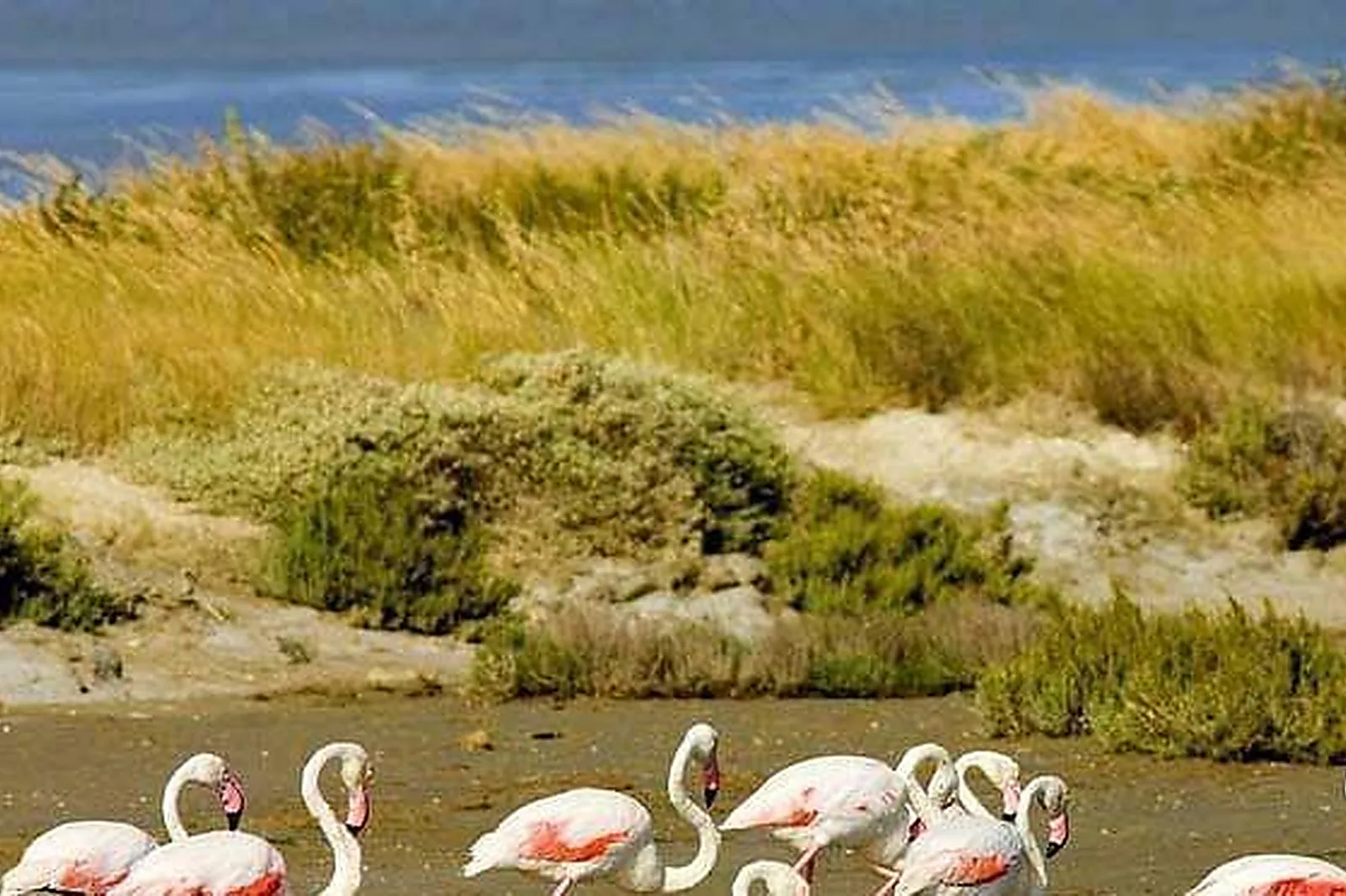 Lieux événementiels, LE MAS DE LA FOUQUE