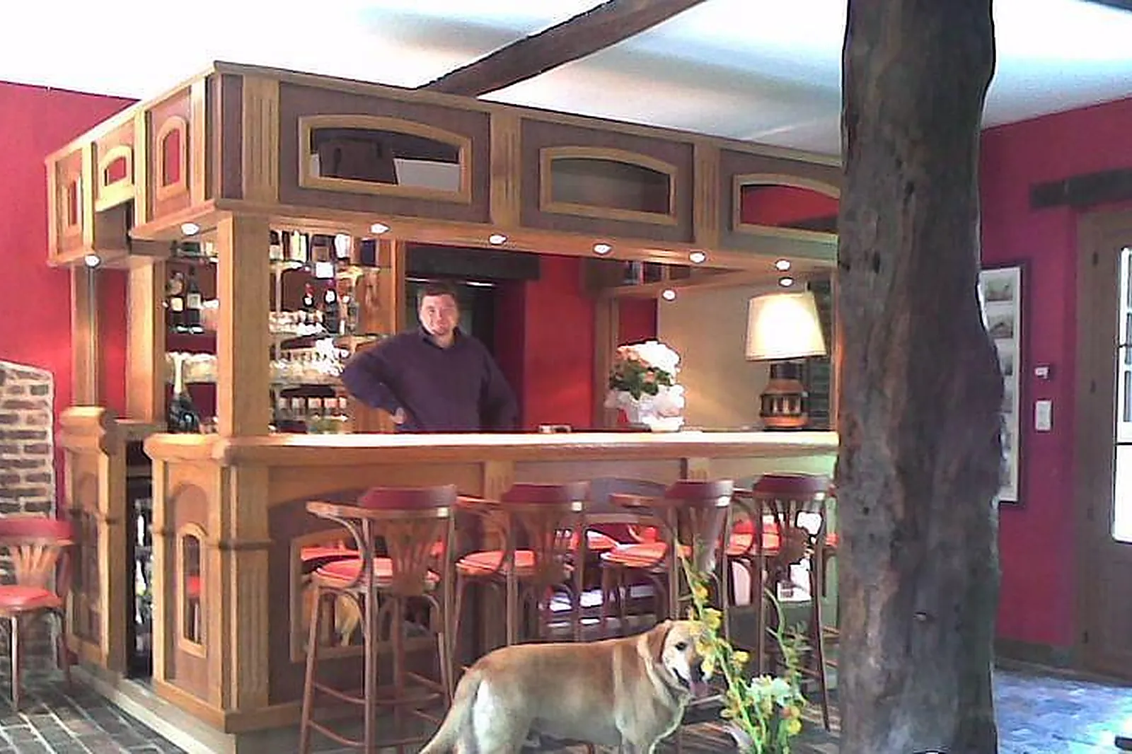 Lieux événementiels, LE MOULIN DE BALINES