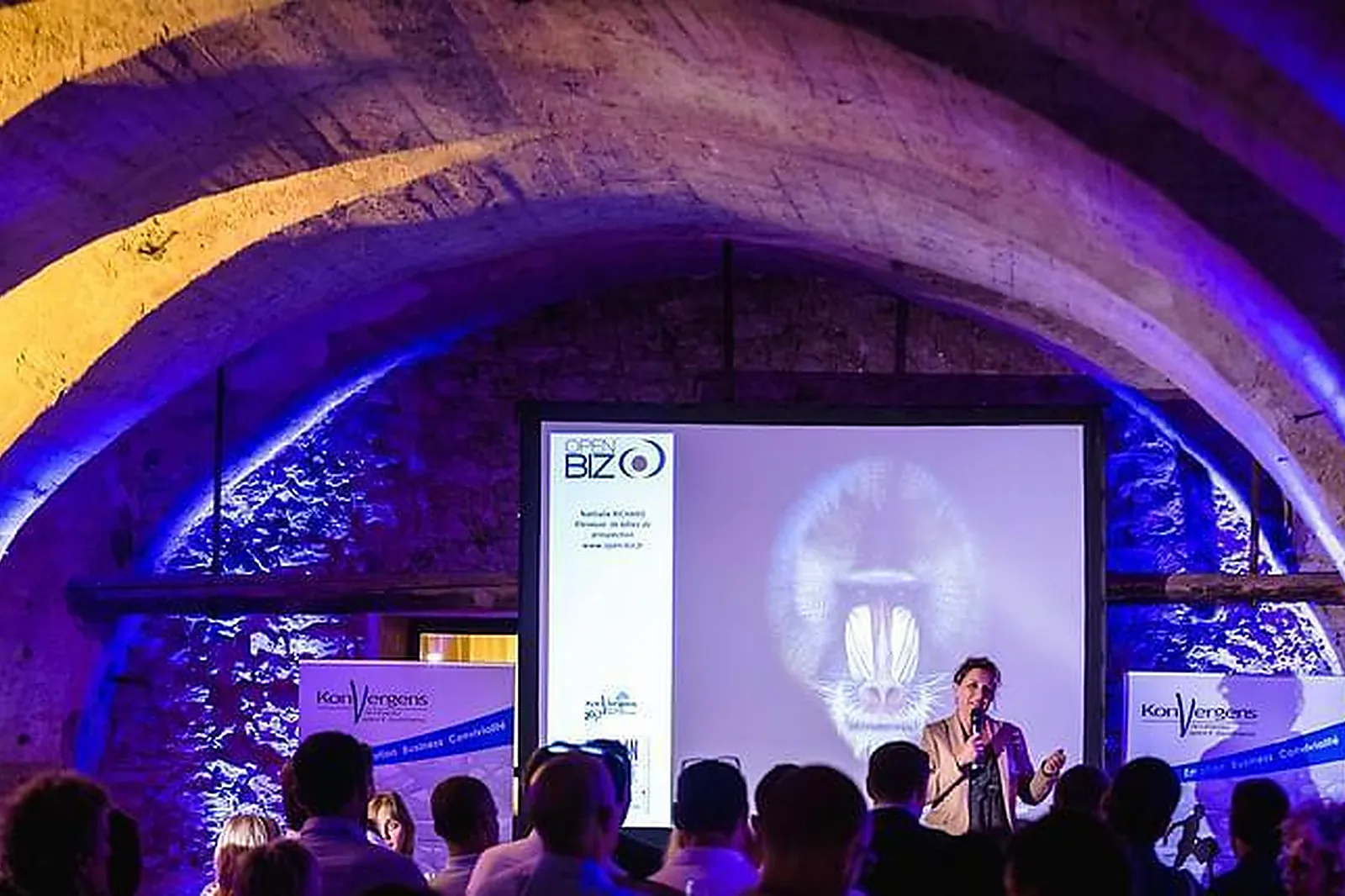 Lieux événementiels, LE MOULIN DE LA RÉCENSE