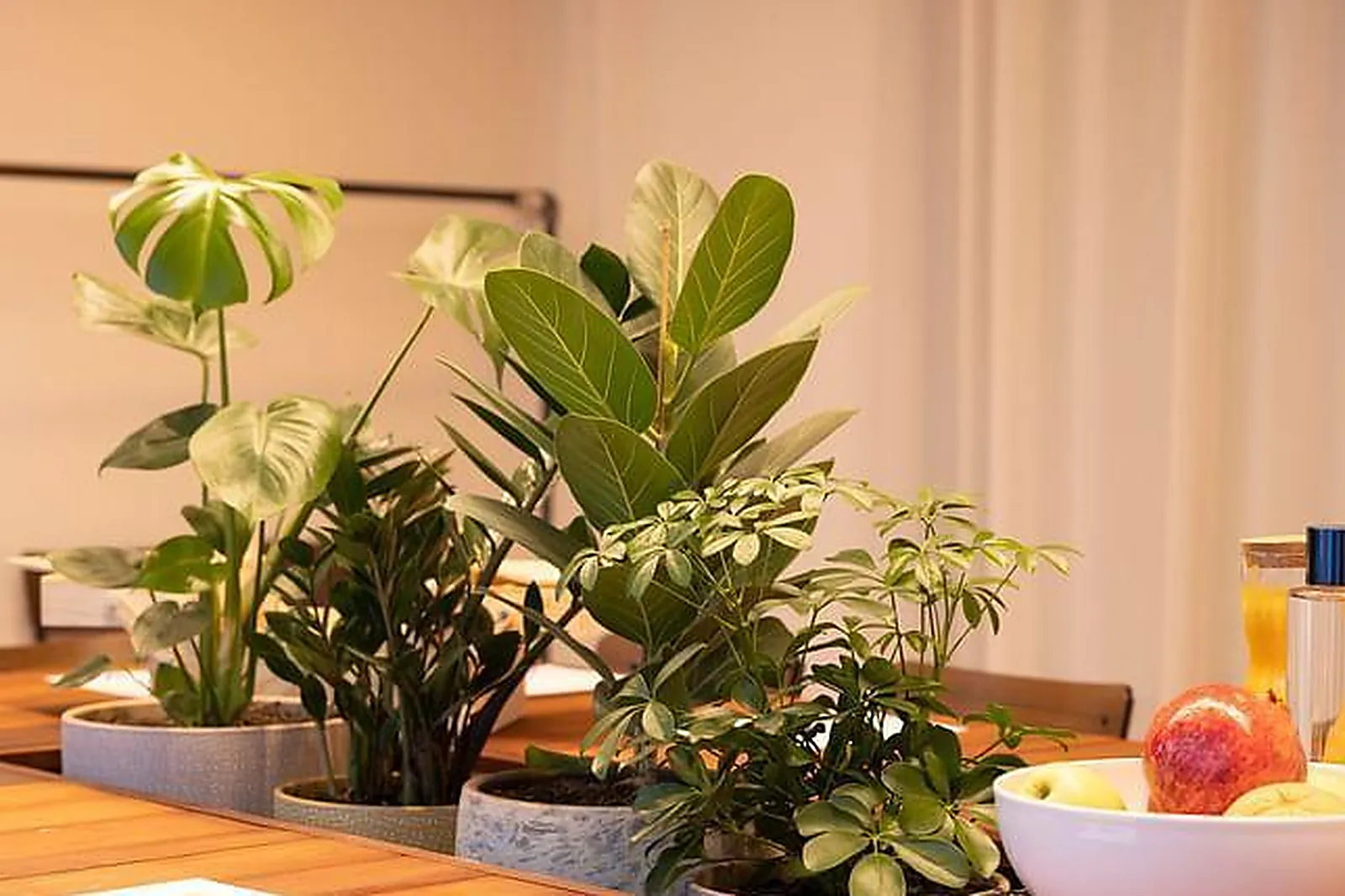 Lieux événementiels, LE NIDA