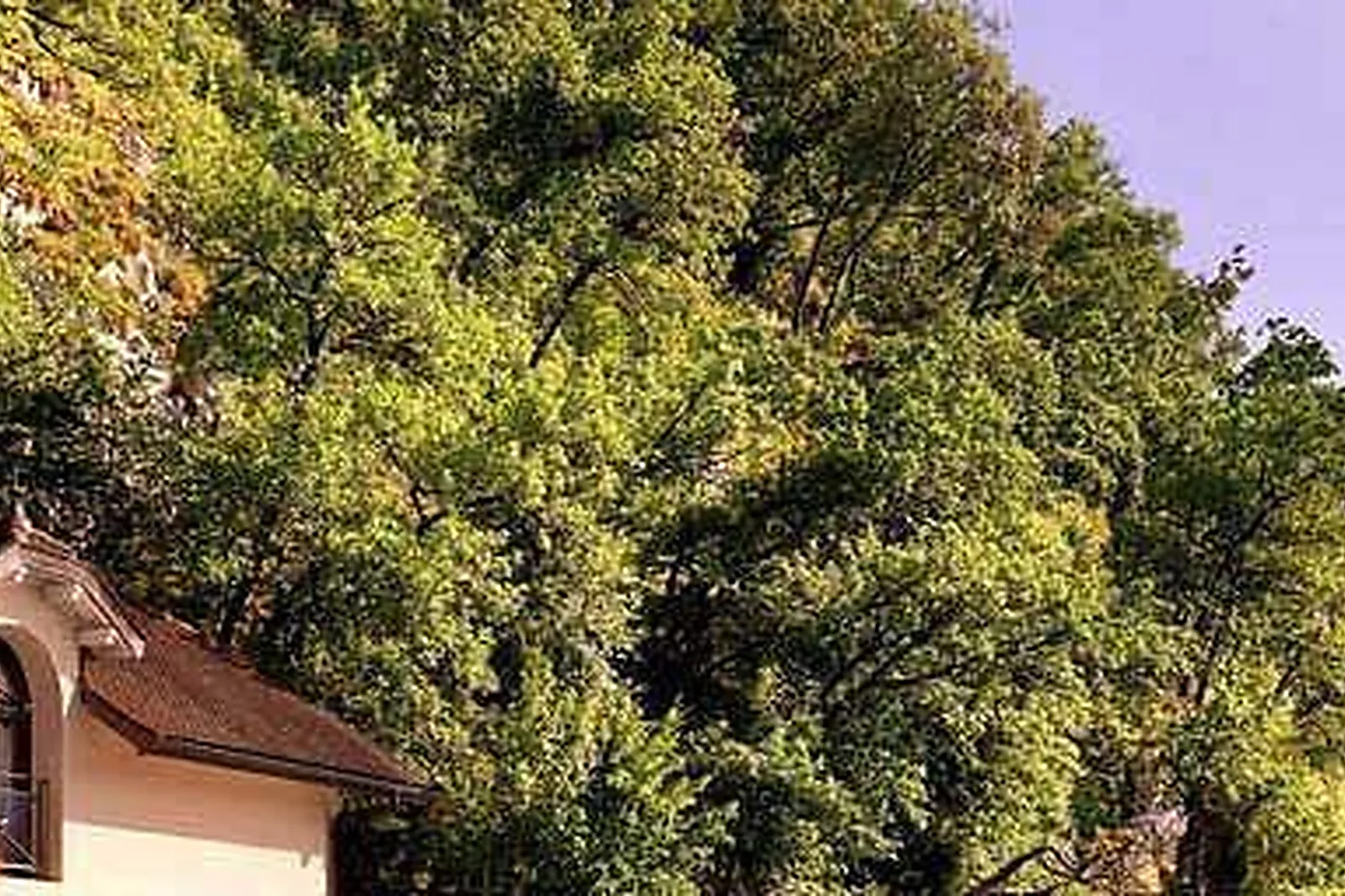 Lieux événementiels, SOGEPA