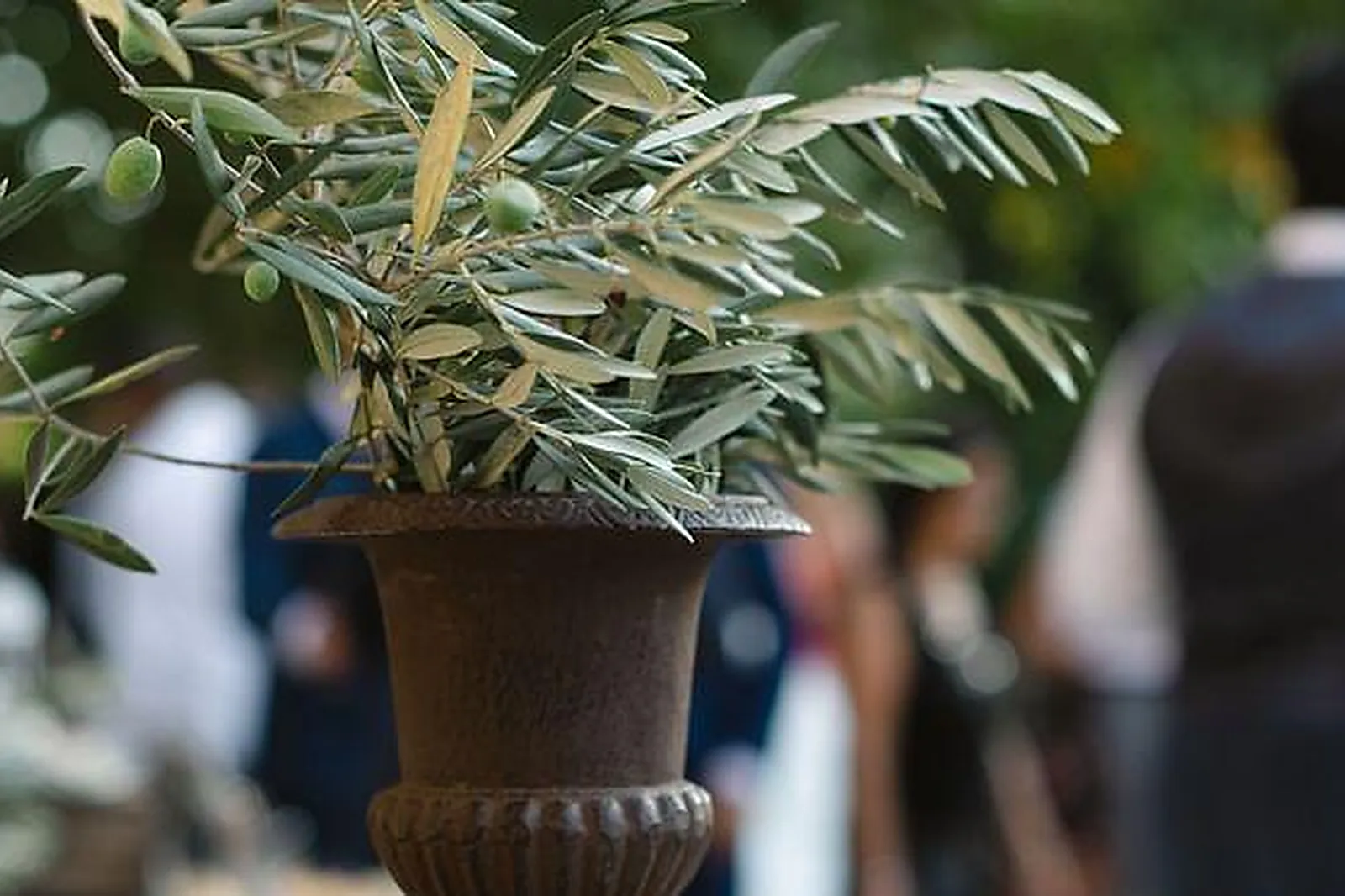 Lieux événementiels, SOGEPA