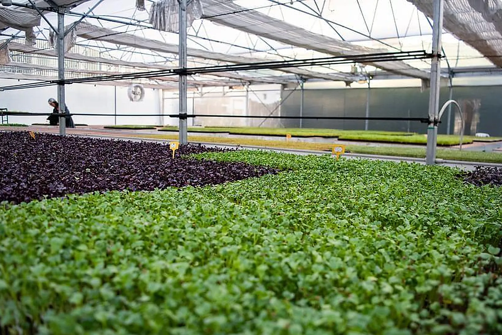 Lieux événementiels, ESPACE CITY'ZEN PARIS