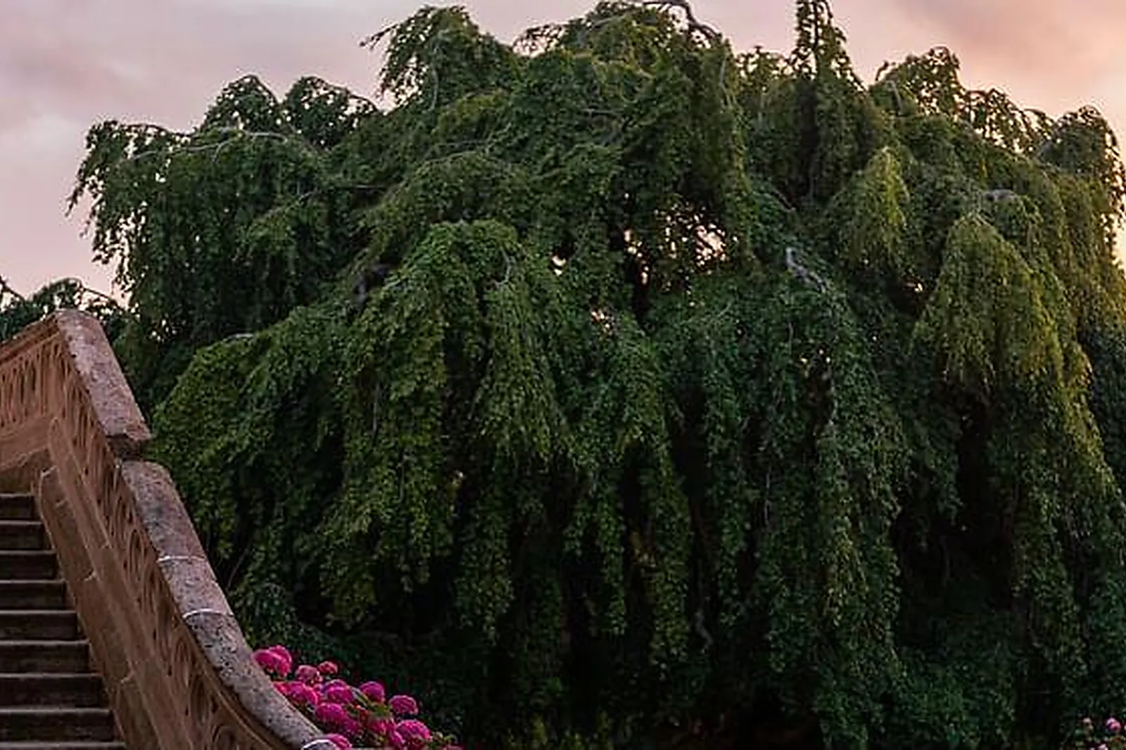 Lieux événementiels, LE PETIT CHÂTEAU DE CONTEVILLE