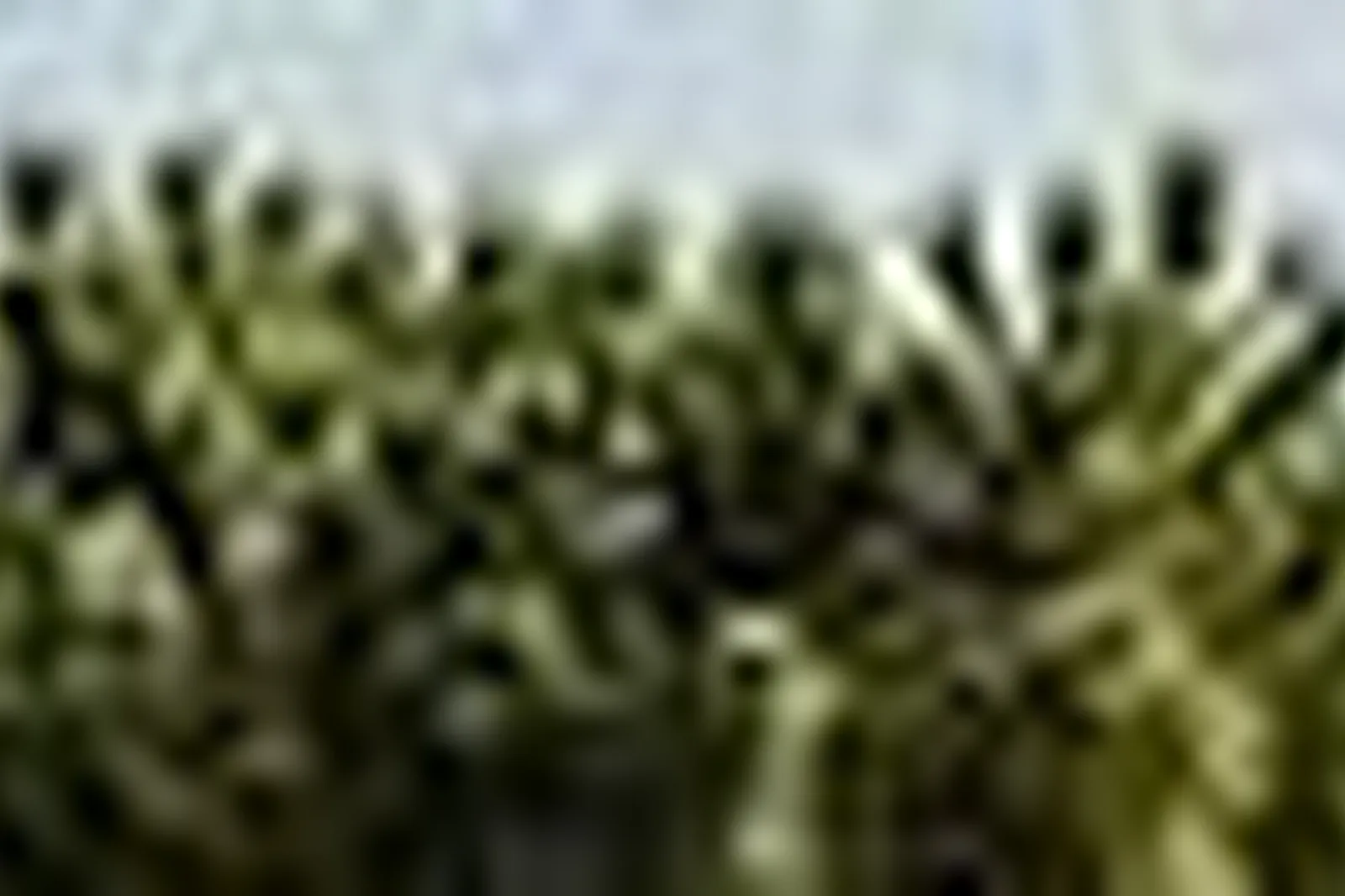 Lieux événementiels, LE PHÉBUS & SPA