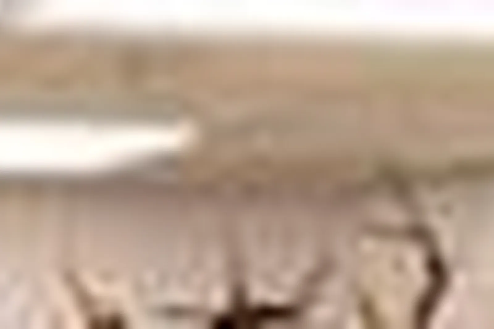 Lieux événementiels, LE PHÉBUS & SPA