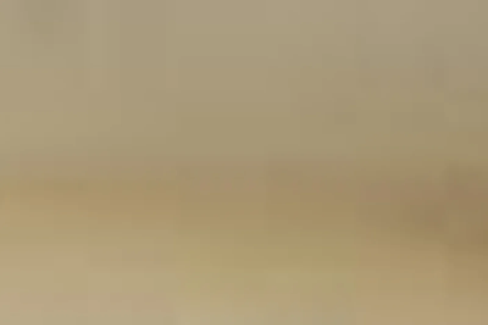 Lieux événementiels, LE PHÉBUS & SPA