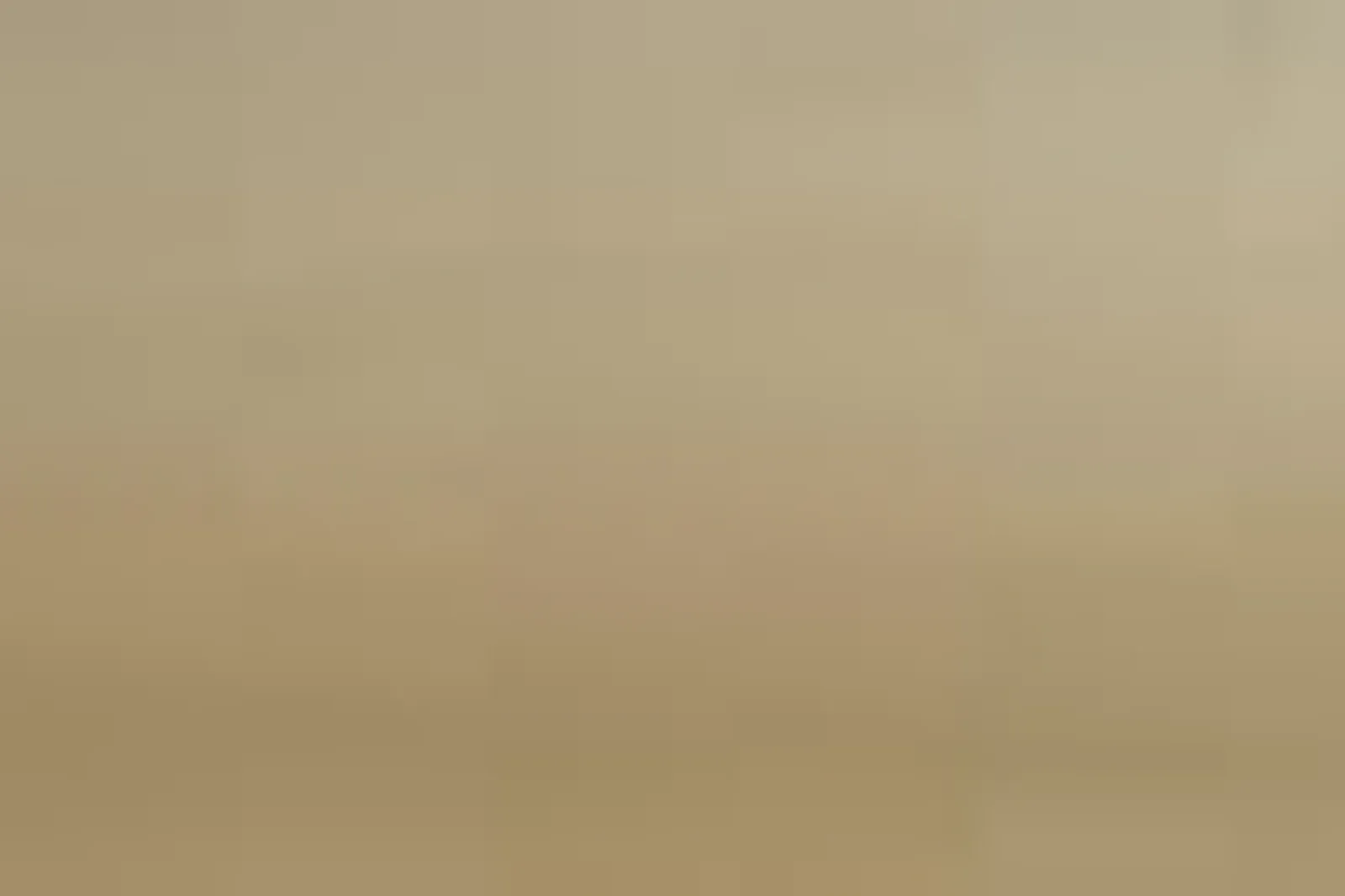 Lieux événementiels, LE PHÉBUS & SPA