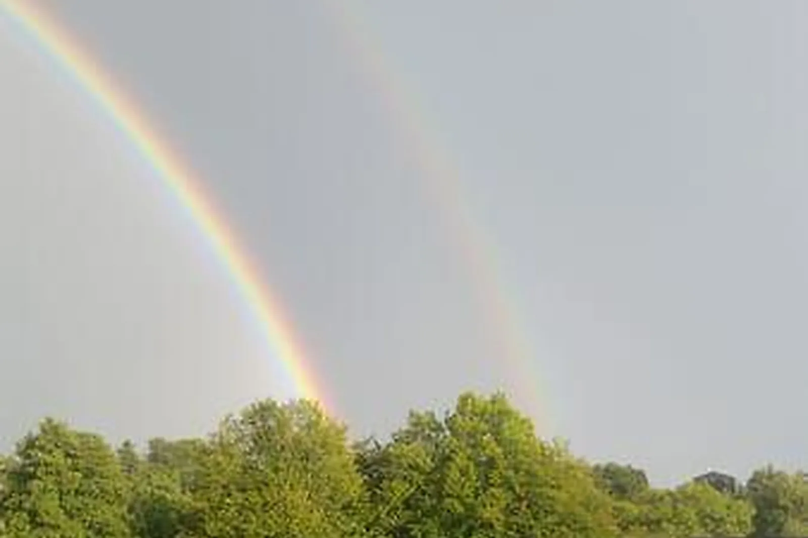 Lieux événementiels, WERESO COLOMBES