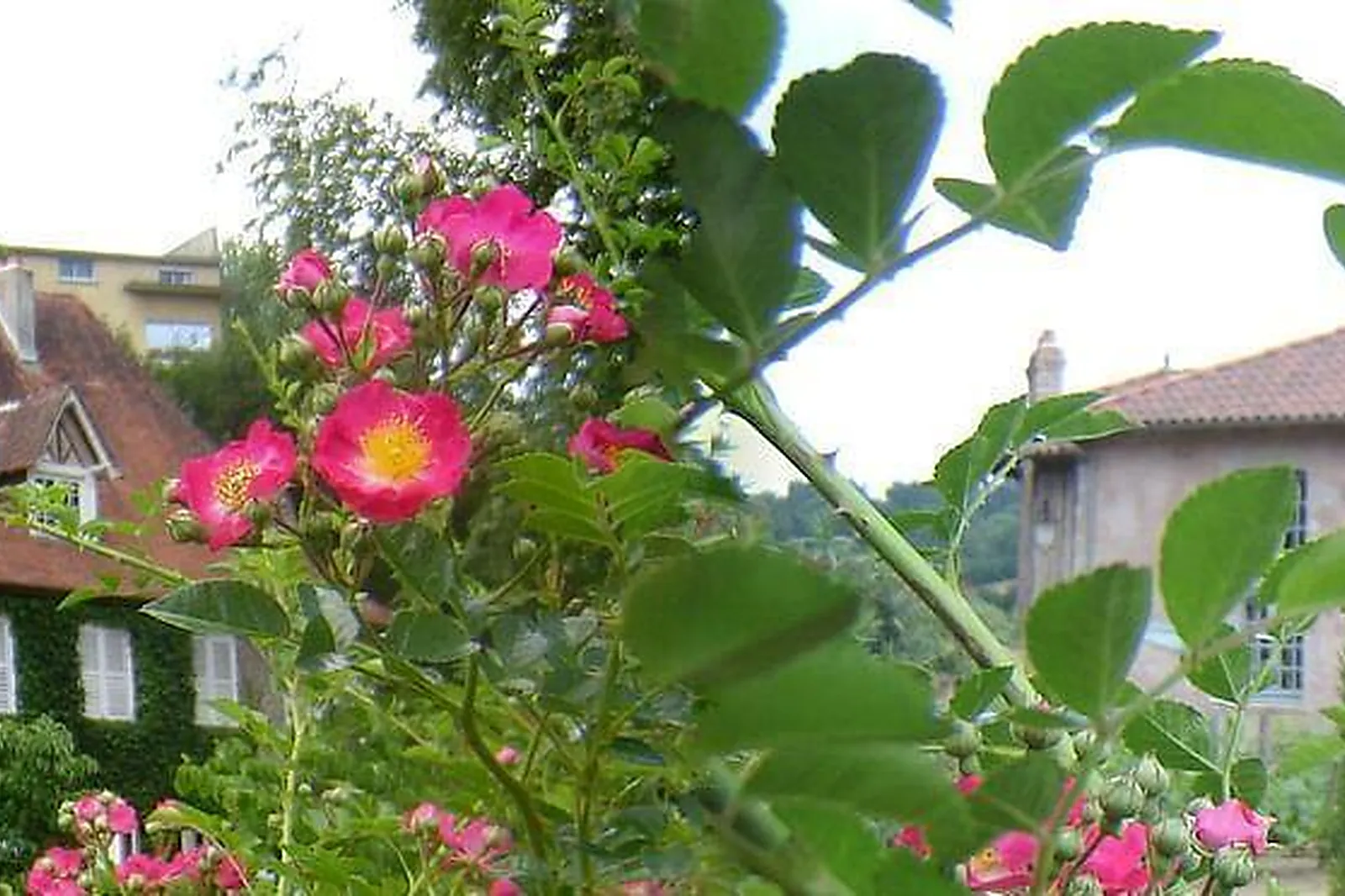 Lieux événementiels, WERESO COLOMBES