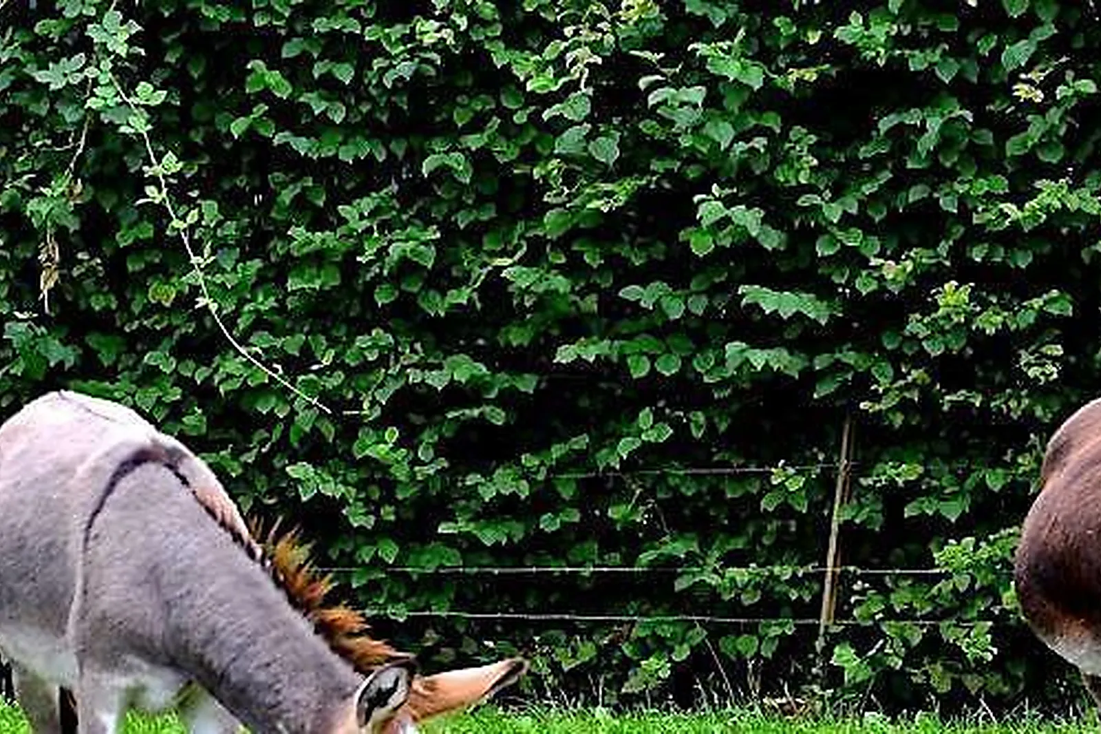 Lieux événementiels, LE PRÉ MARIE