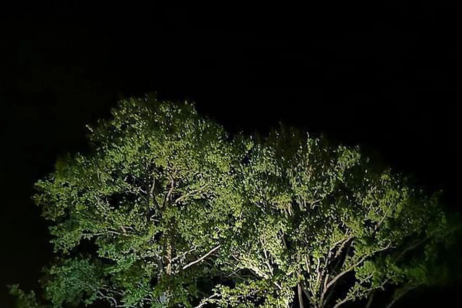 Lieux événementiels, LE PRÉ MARIE