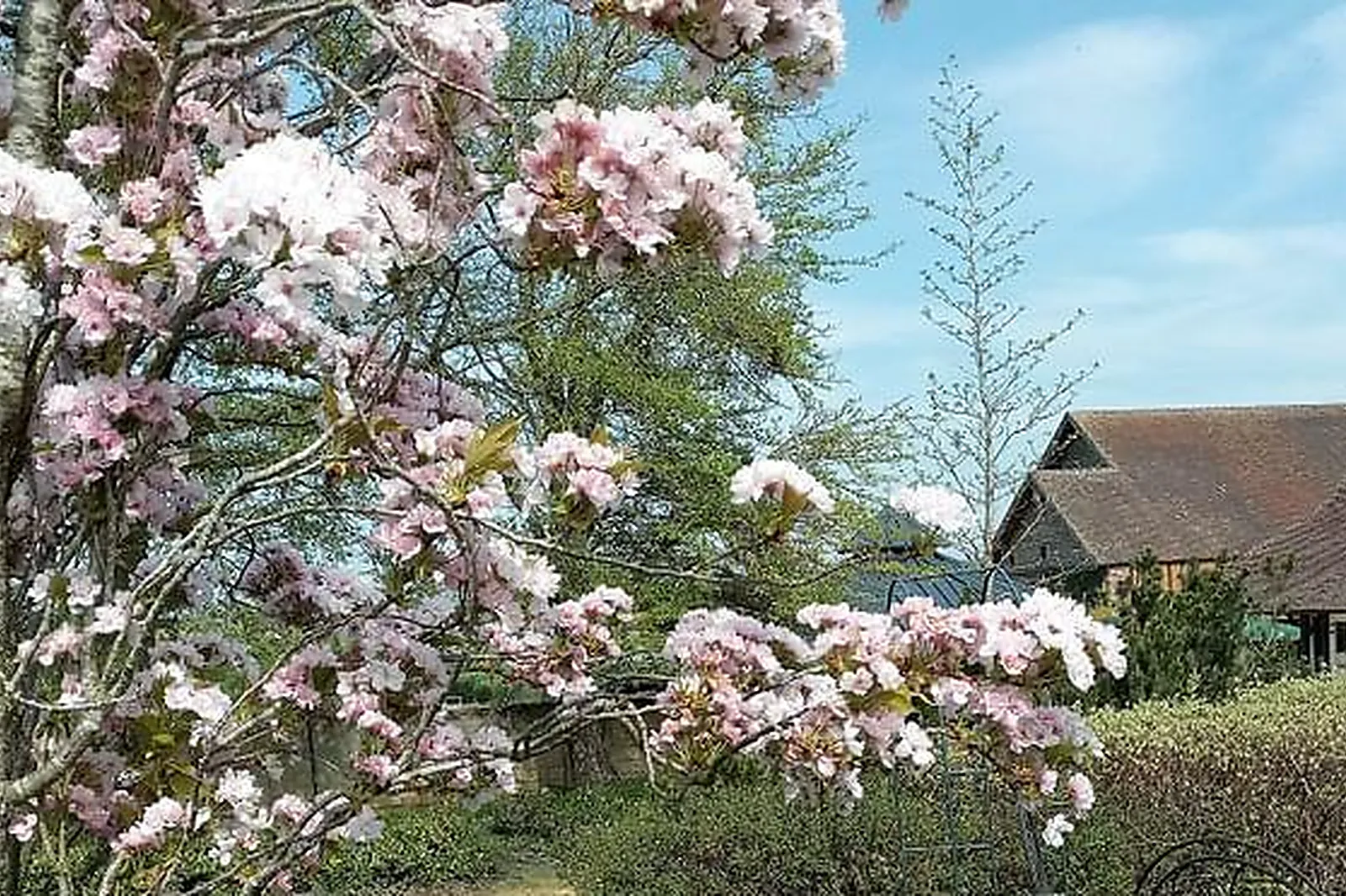 Lieux événementiels, LE PRÉ MARIE