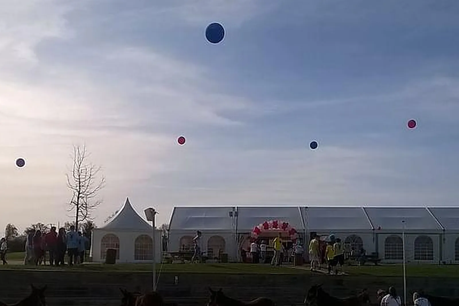 Lieux événementiels, LE PÔLE DU CHEVAL