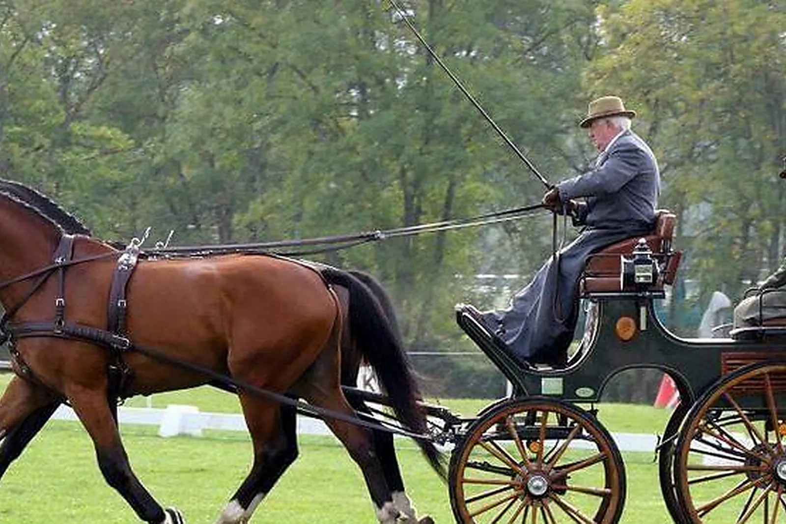 Lieux événementiels, LE PÔLE DU CHEVAL
