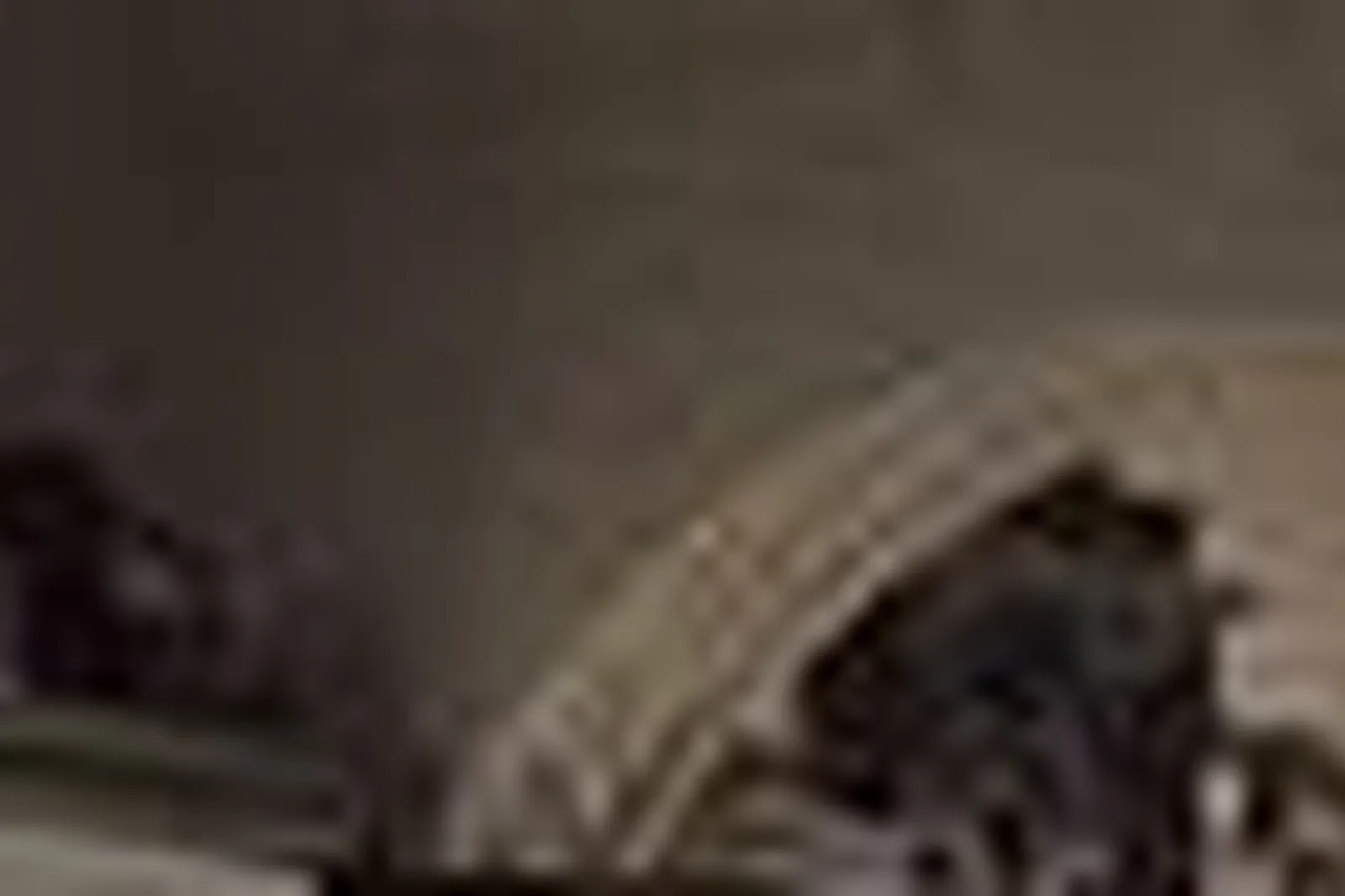 Lieux événementiels, LE ROYAL - MAISON DES ARTS ET MÉTIERS