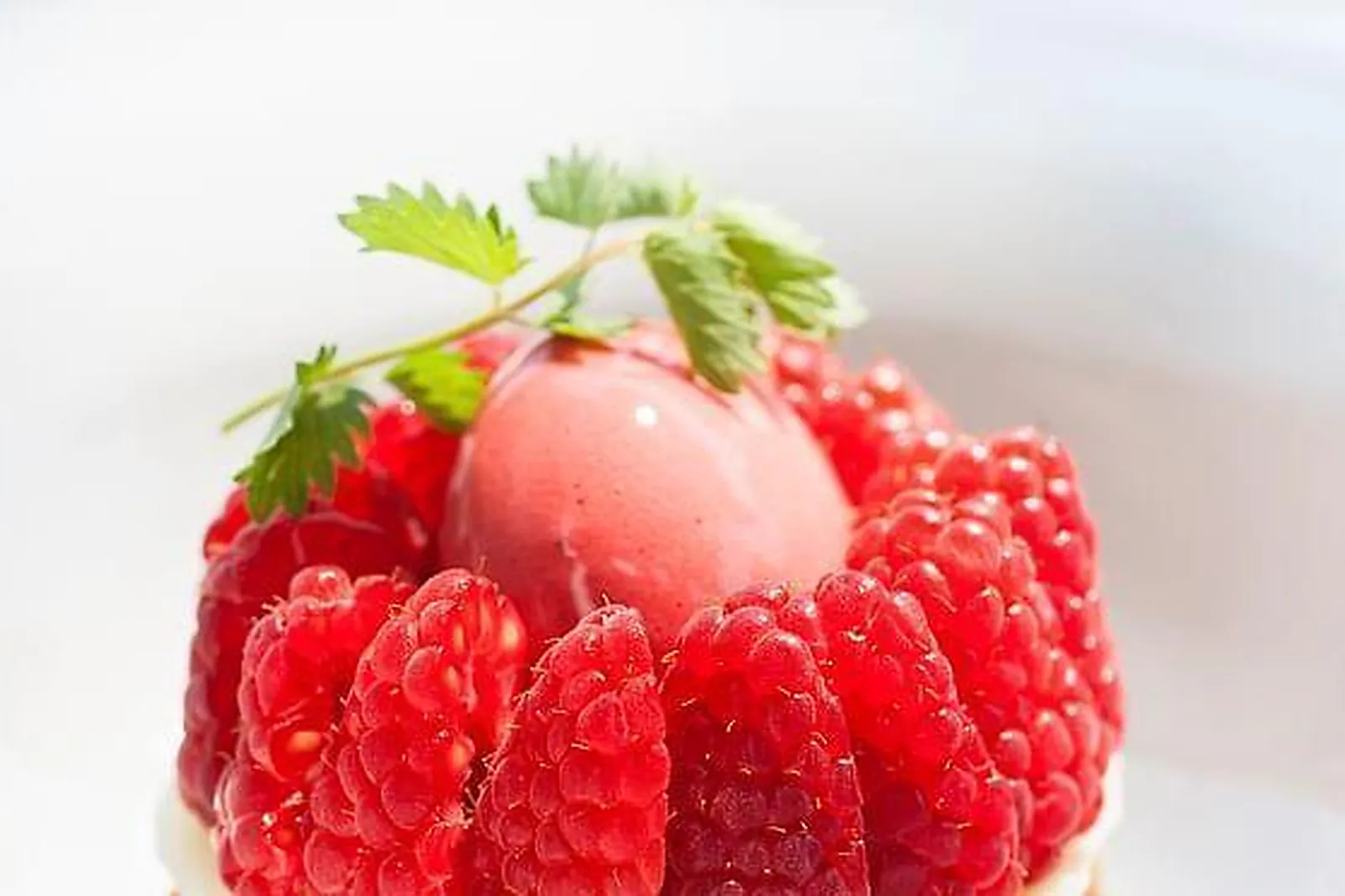 Lieux événementiels, L'APPARTEMENT