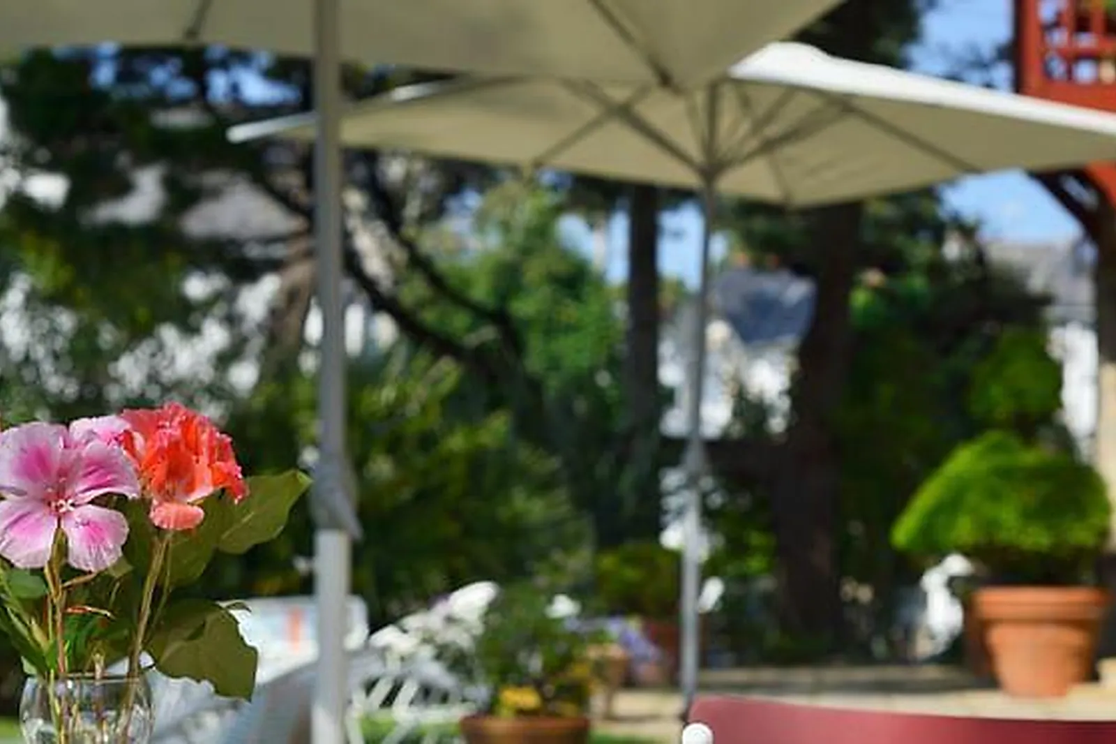 Lieux événementiels, L'APPARTEMENT