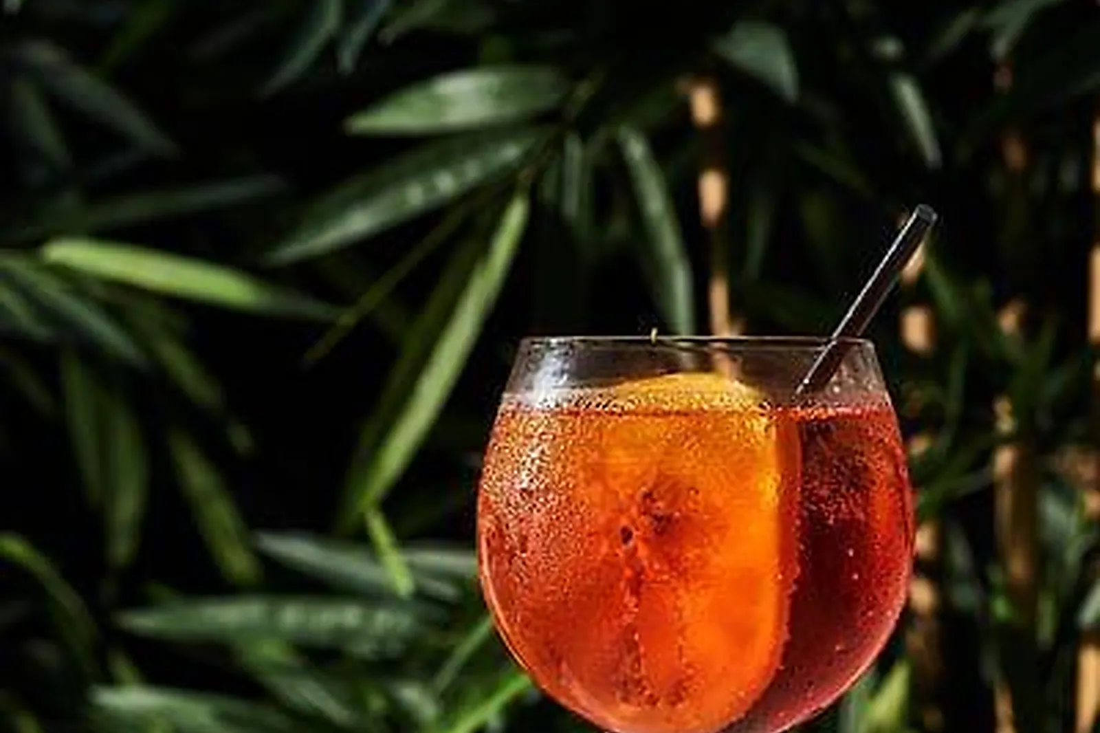 Lieux événementiels, GAUMONT MULTIPLEXE MONTPELLIER