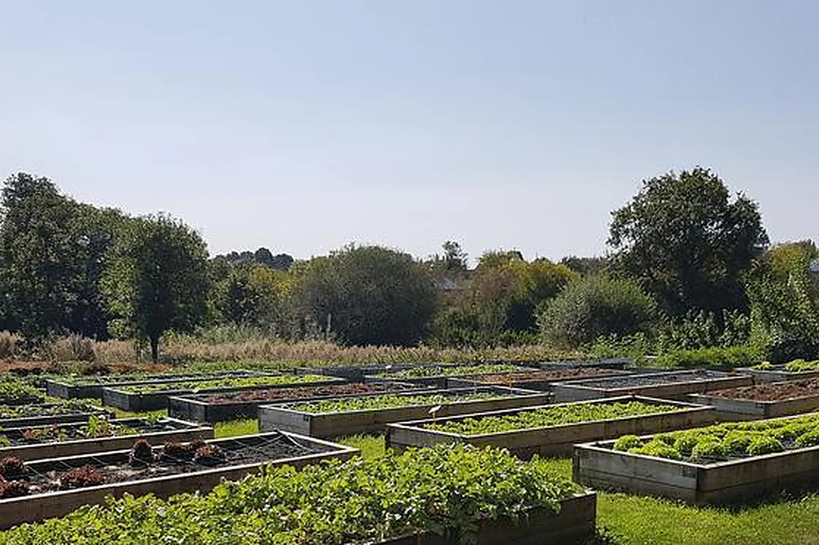 Lieux événementiels, LE THÉÂTRE MOLIÈRE PUY DU FOU CONGRÈS