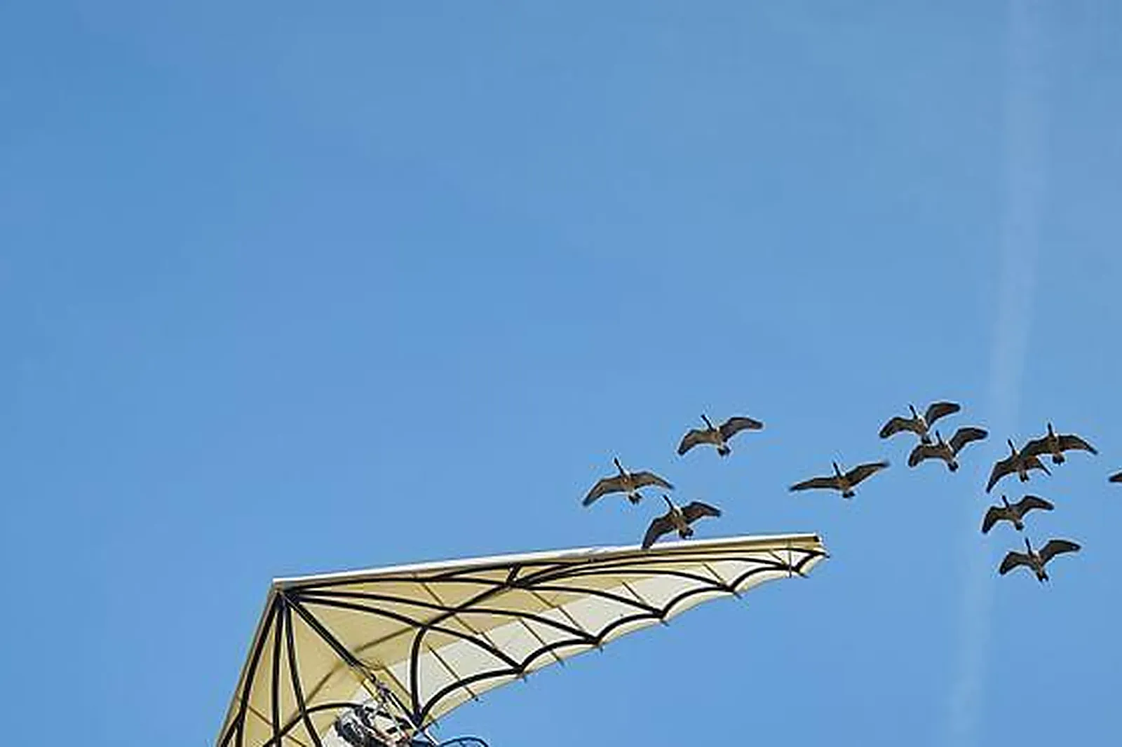 Lieux événementiels, LE THÉÂTRE MOLIÈRE PUY DU FOU CONGRÈS