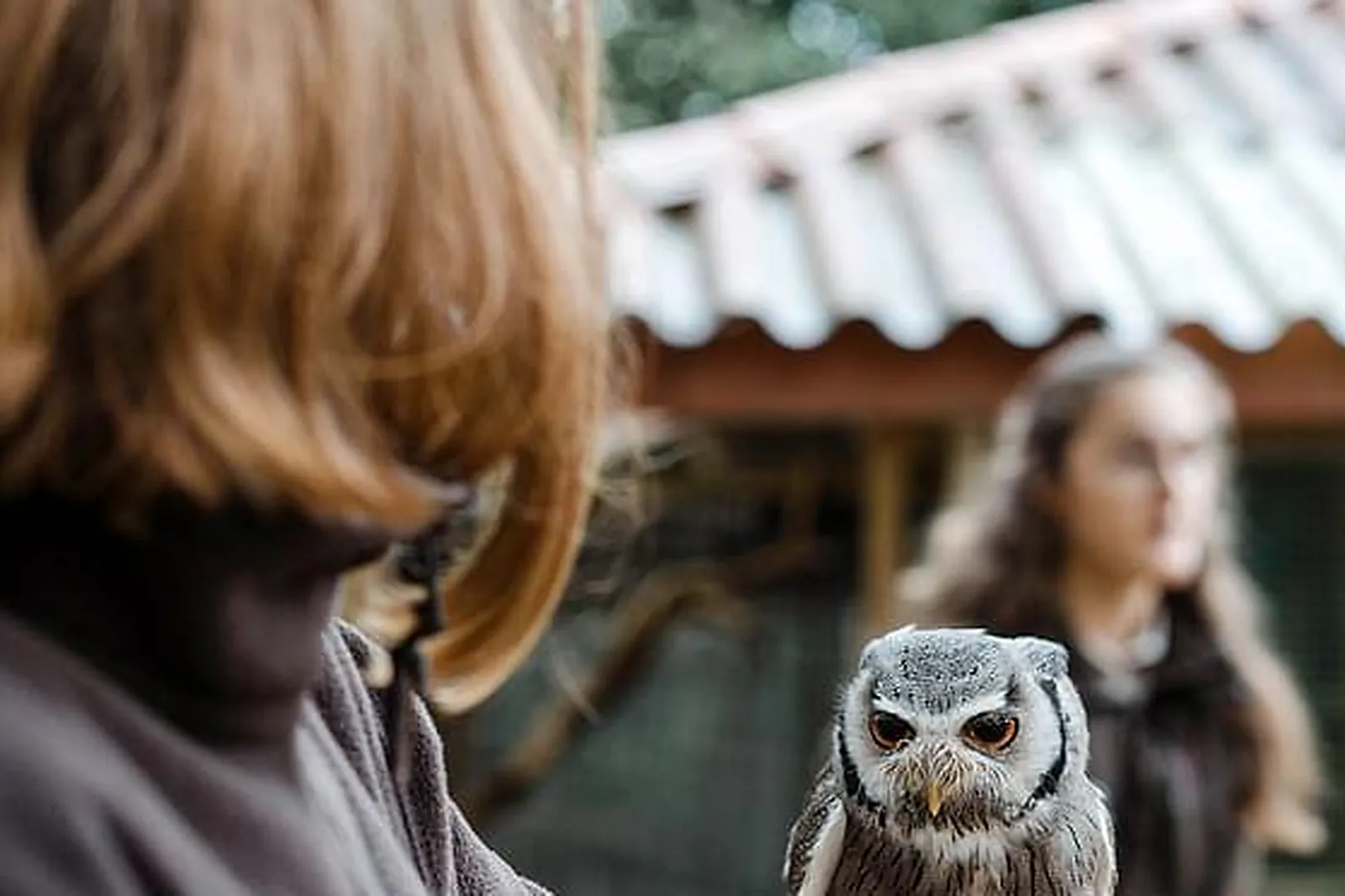 Lieux événementiels, LE THÉÂTRE MOLIÈRE PUY DU FOU CONGRÈS