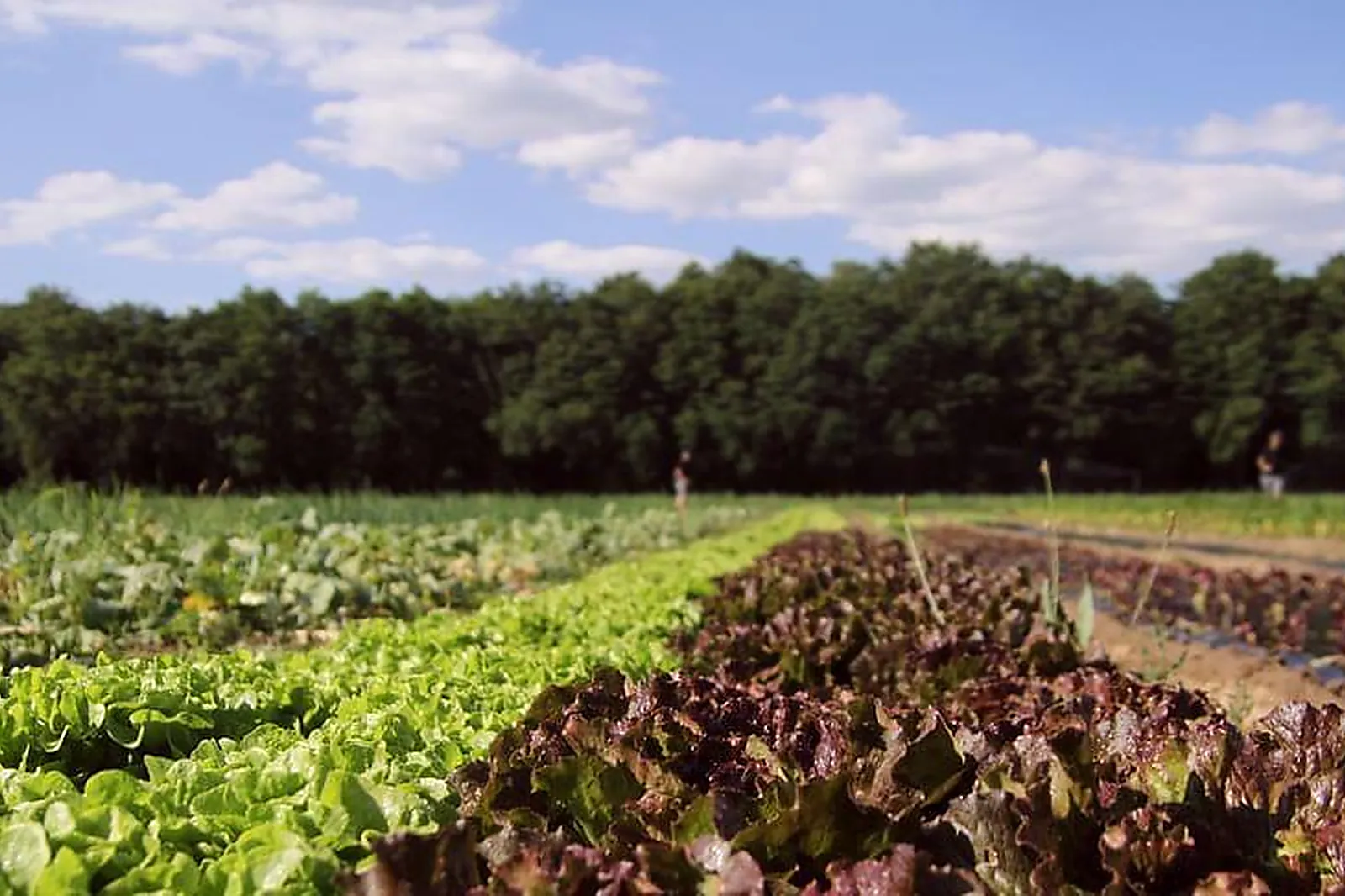 Lieux événementiels, VOCO PARIS MONTPARNASSE, IHG