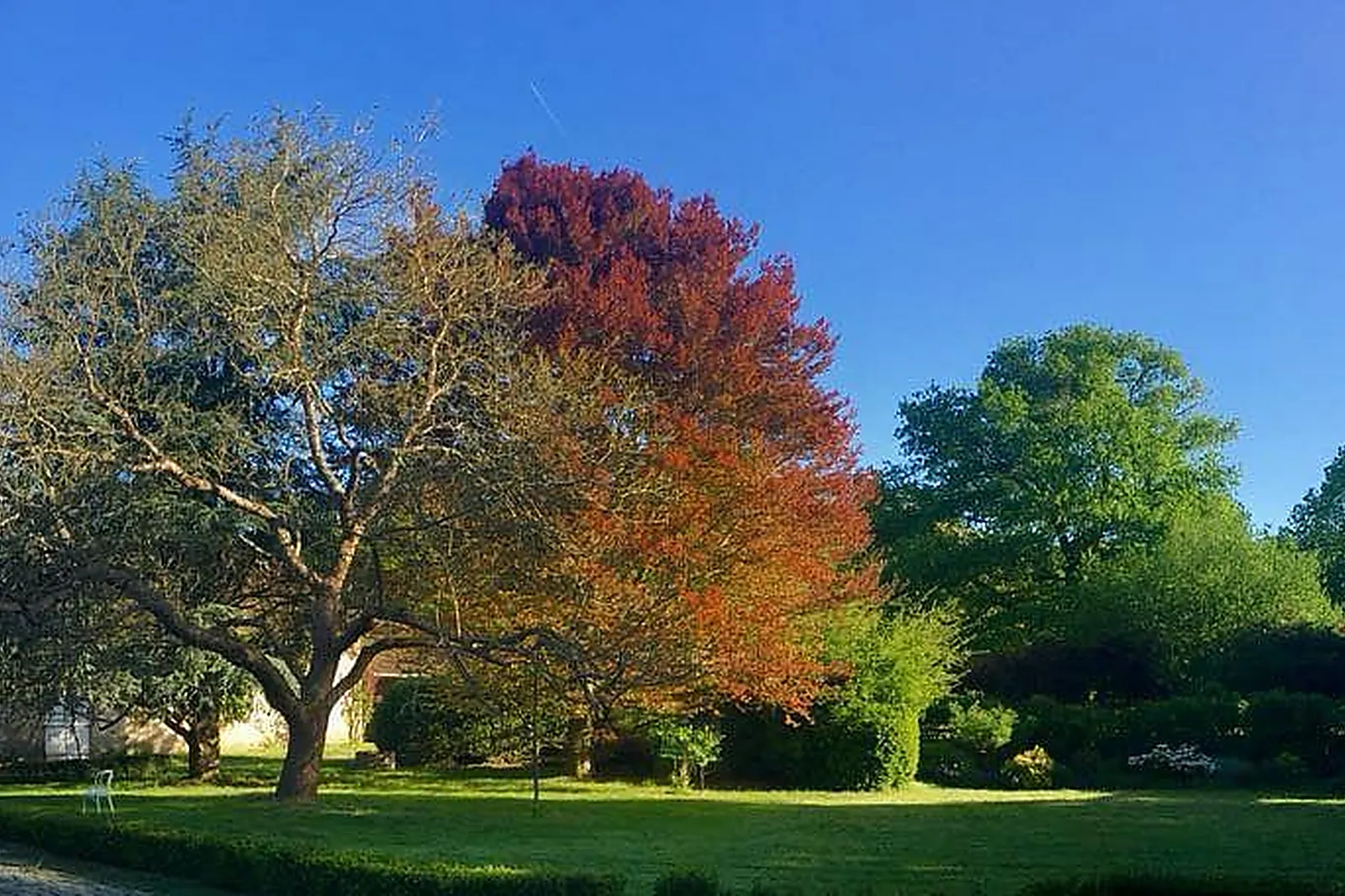 Lieux événementiels, VOCO PARIS MONTPARNASSE, IHG