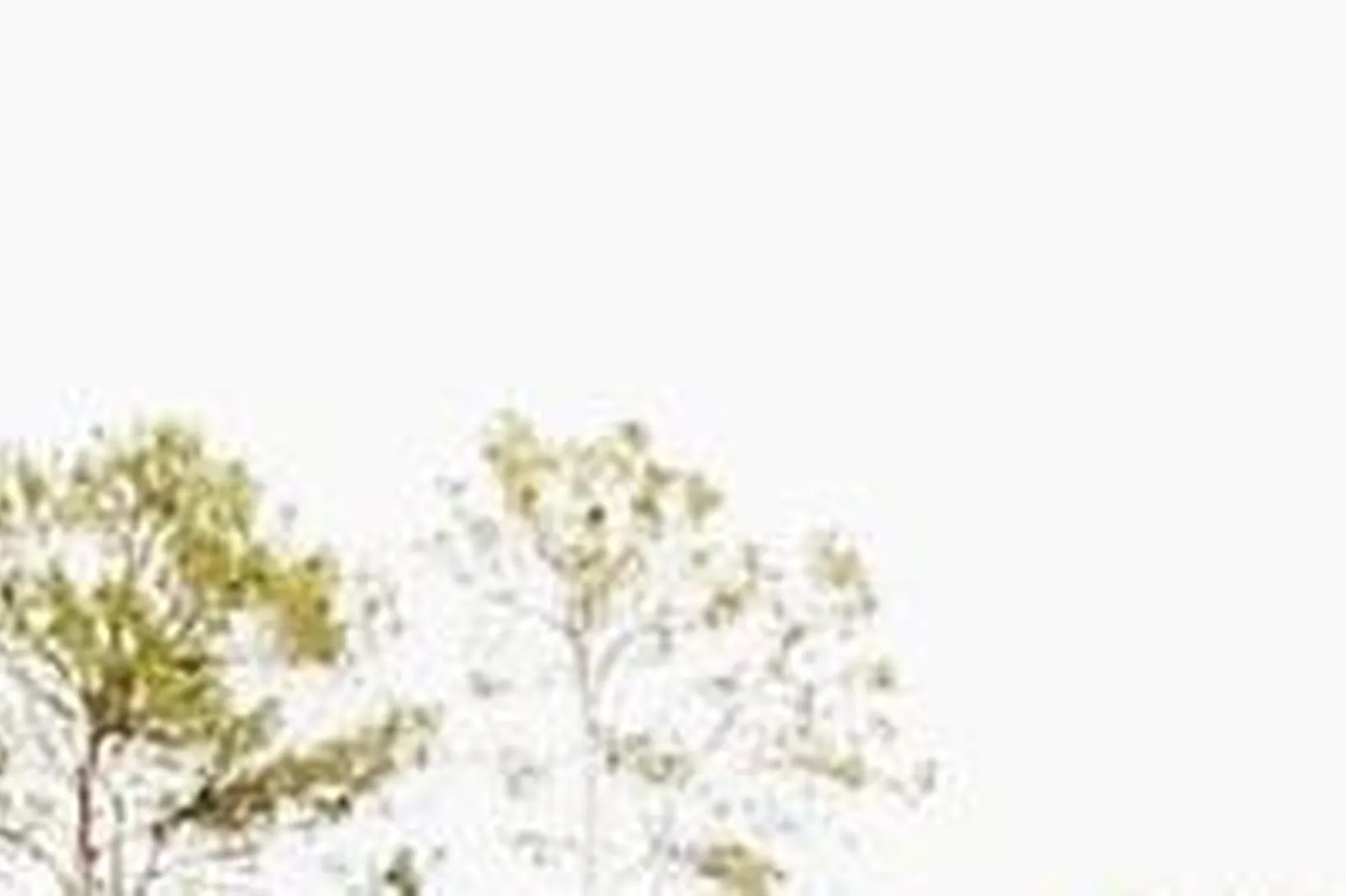 Lieux événementiels, LE HAMEAU DES LUCIOLES