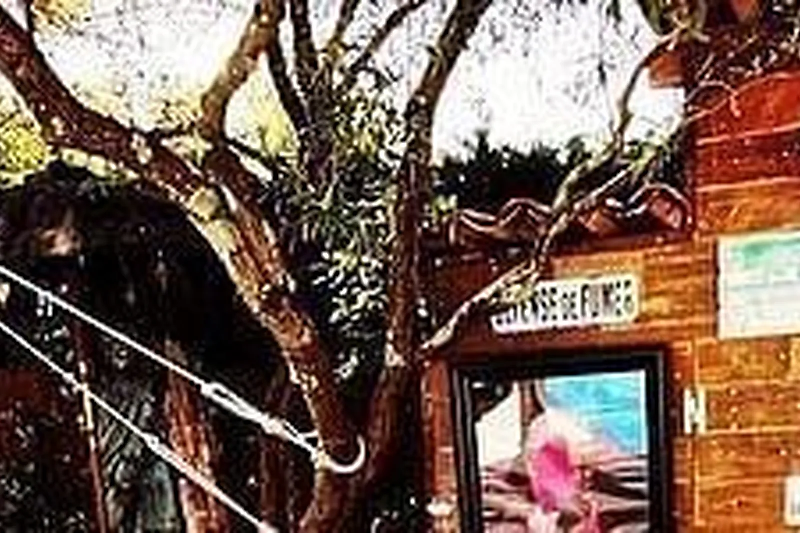 Lieux événementiels, LE HAMEAU DES LUCIOLES