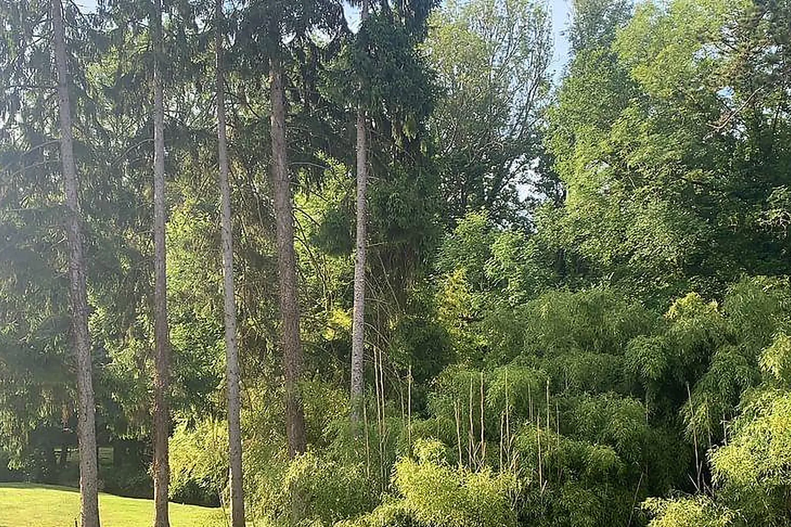 Lieux événementiels, LESBAINSROCHES