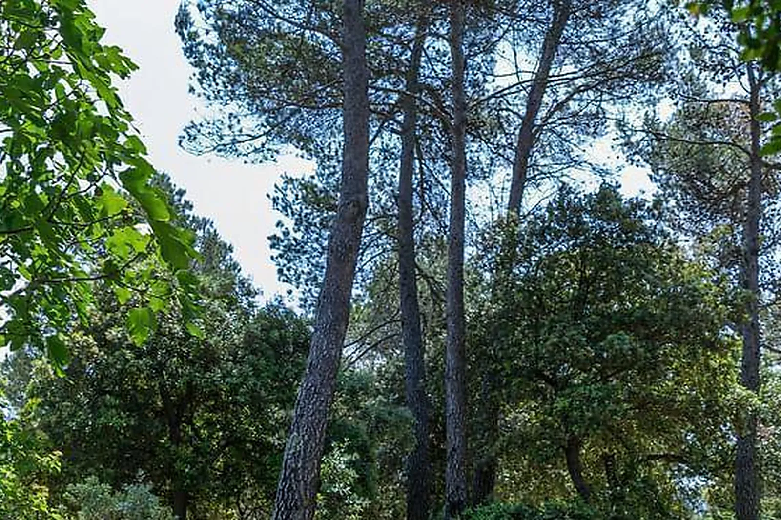 Lieux événementiels, ESPACE TEDDY - HÔTEL ROOSEVELT