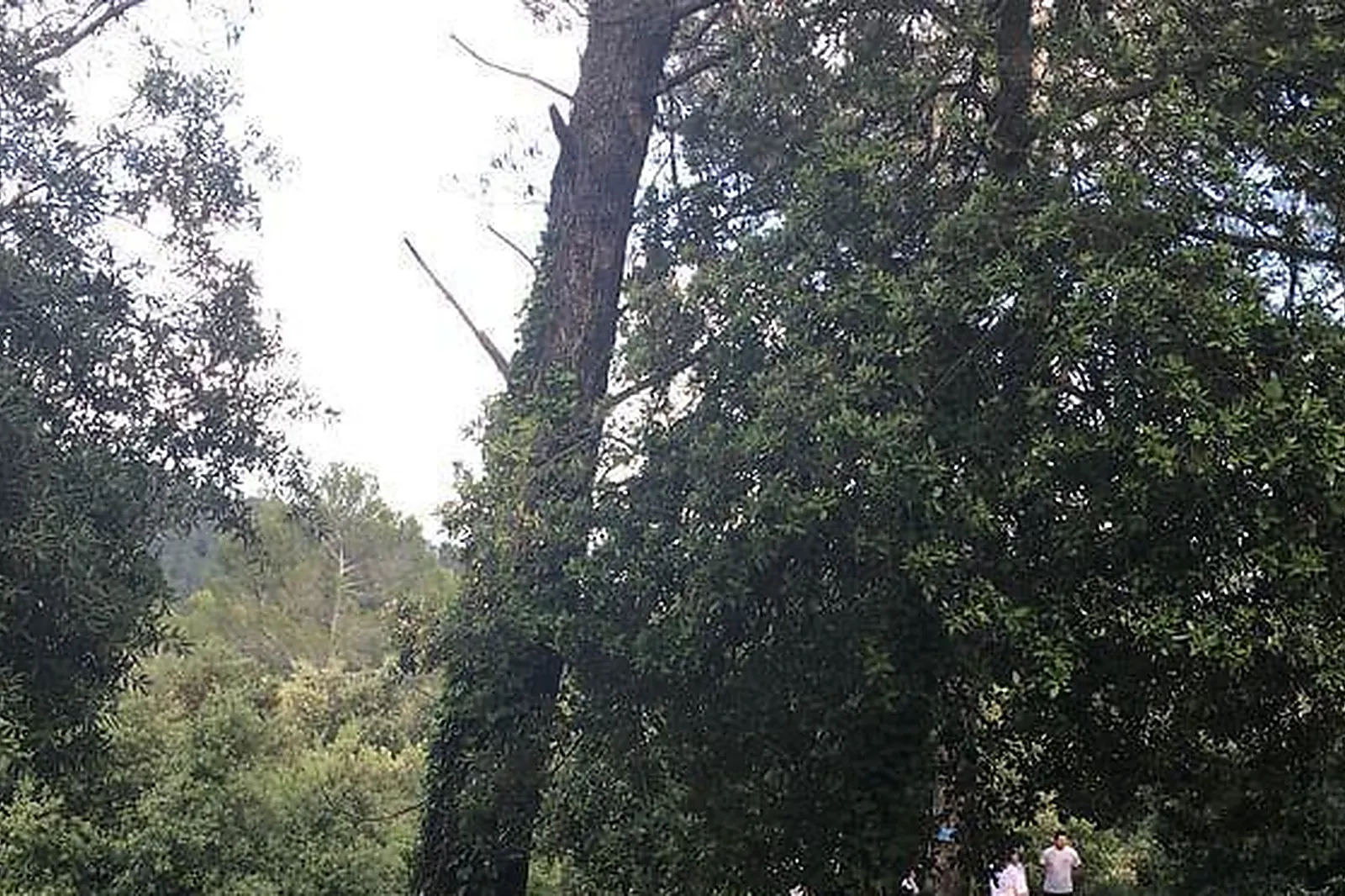 Lieux événementiels, ESPACE TEDDY - HÔTEL ROOSEVELT