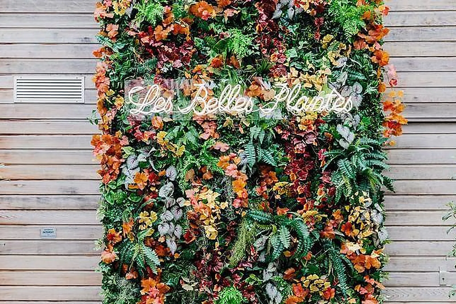 Lieux événementiels, SALLE FÉES DES RÊVES