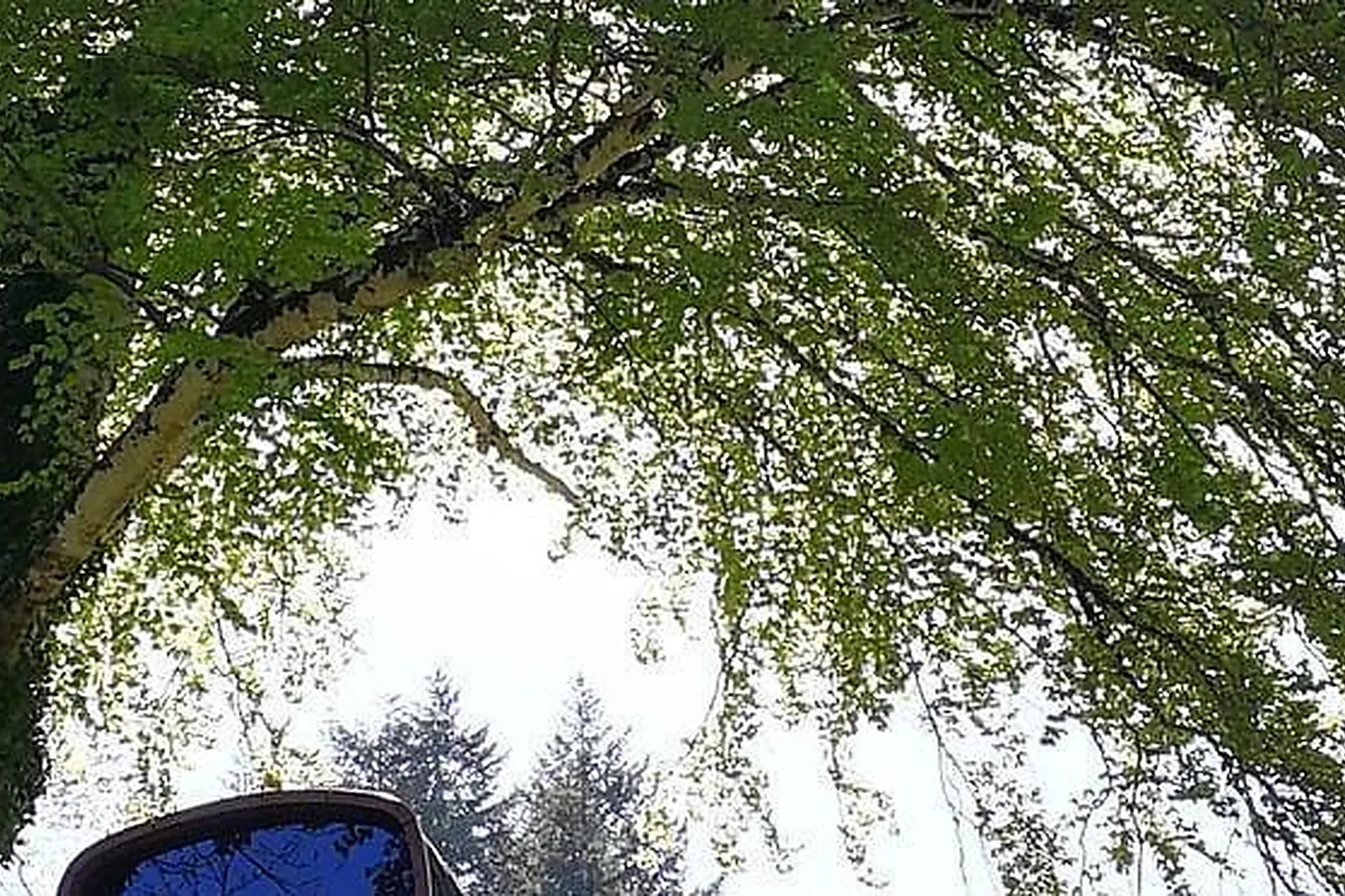 Lieux événementiels, LES CABANES D'HESTIA