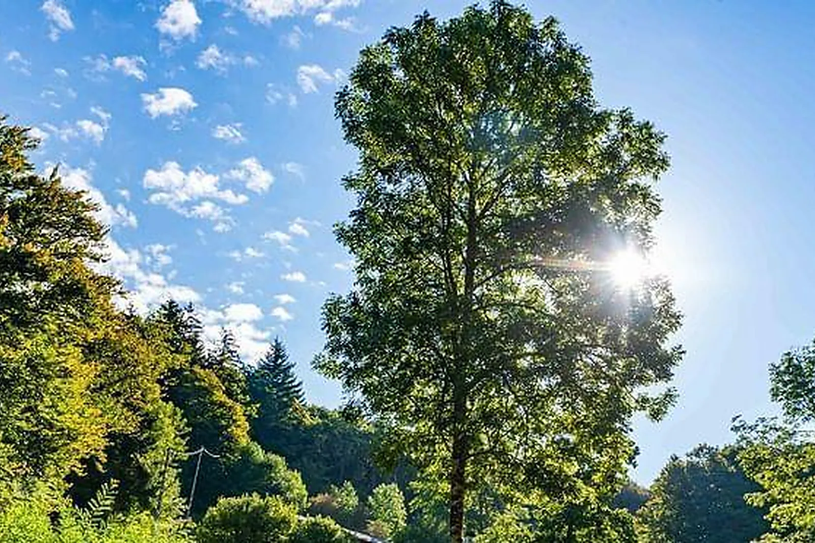 Lieux événementiels, LES CABANES D'HESTIA